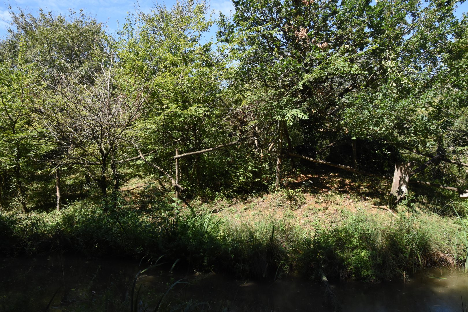 White-faced Saki island