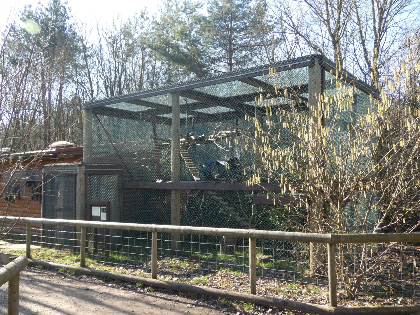 White-faced Saki Monkey enclosure
