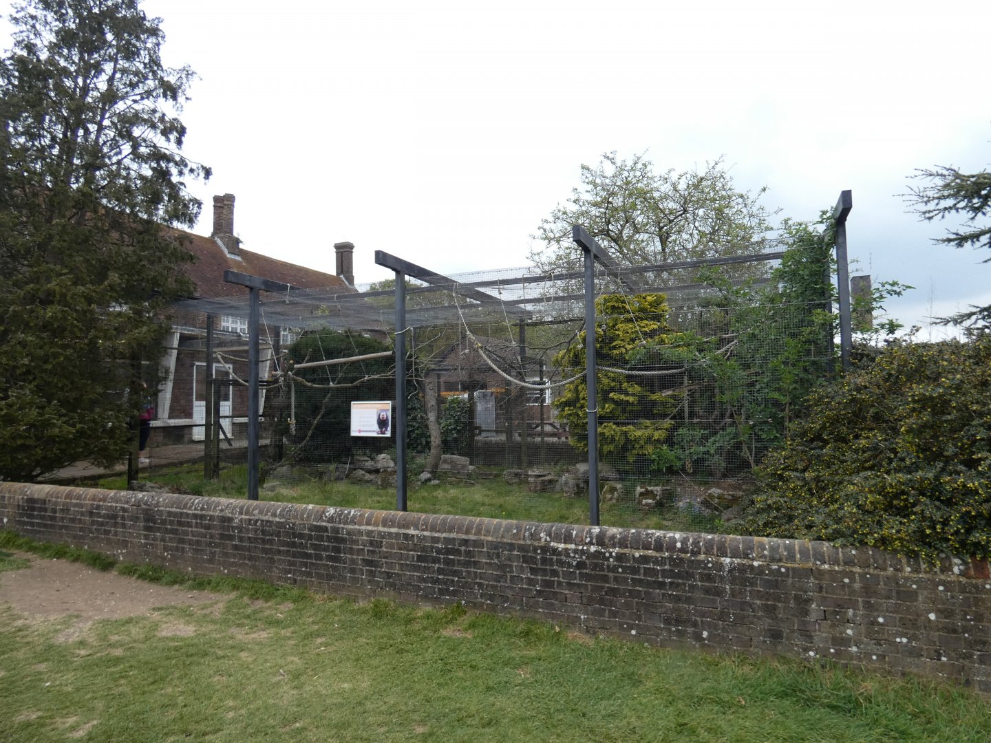 White-faced saki monkey enclosure
