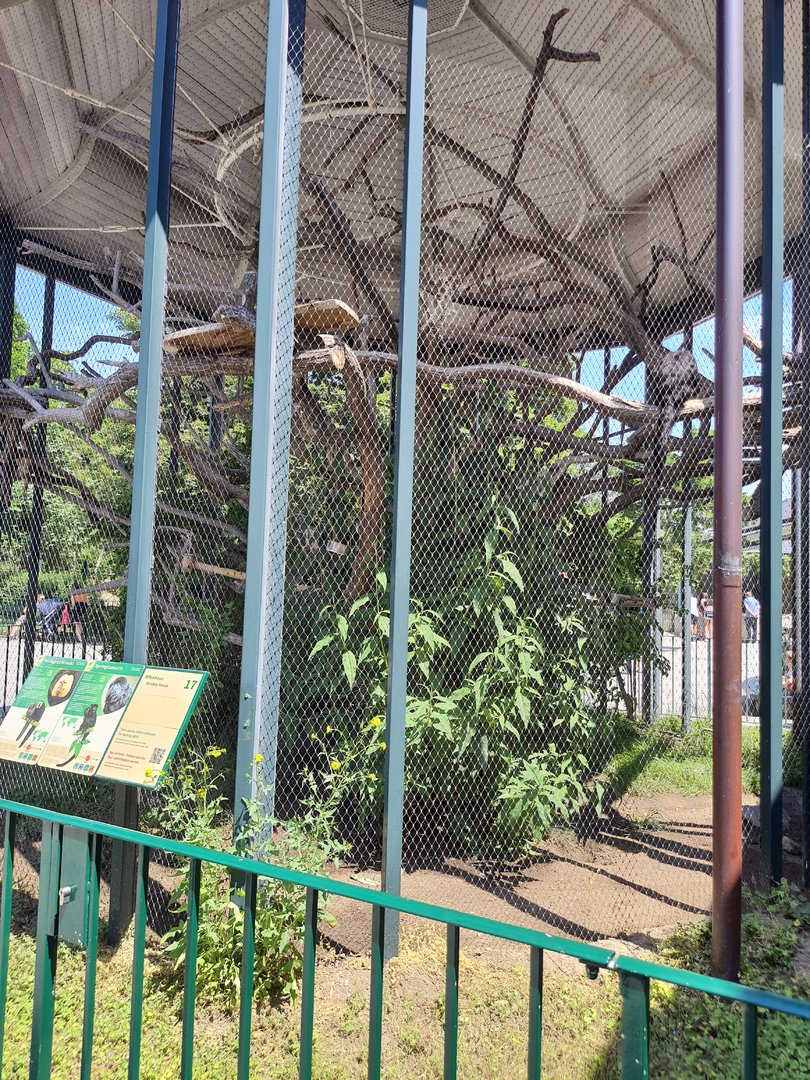 White-faced saki monkey exhibit- Tiergarten Schönbrunn
