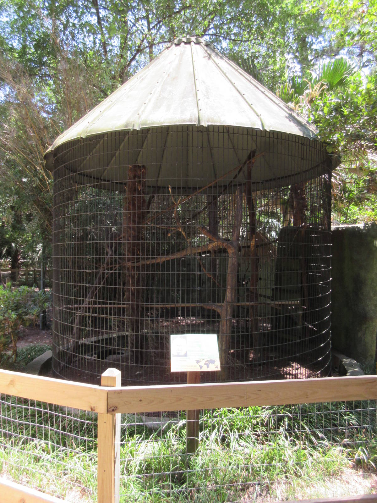 White-Faced Saki Monkey Exhibit