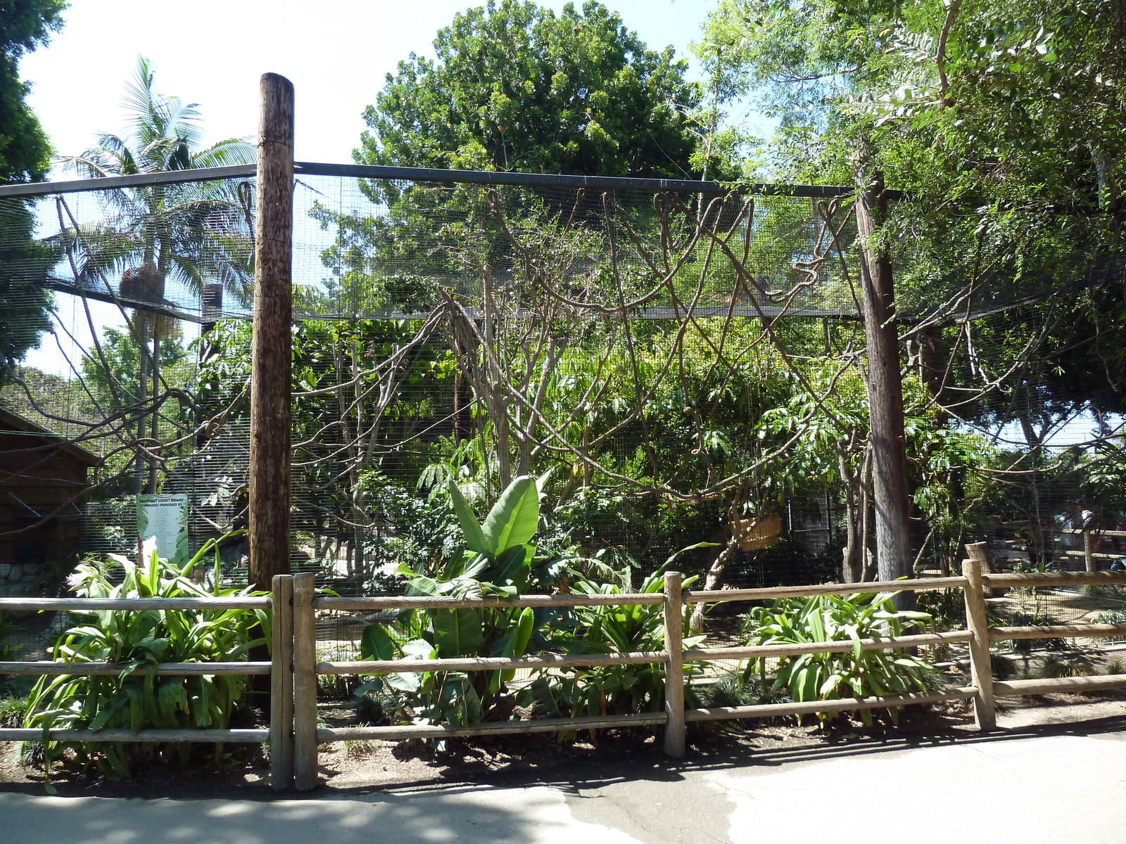 White-Faced Saki Monkey/Green Iguana Exhibit