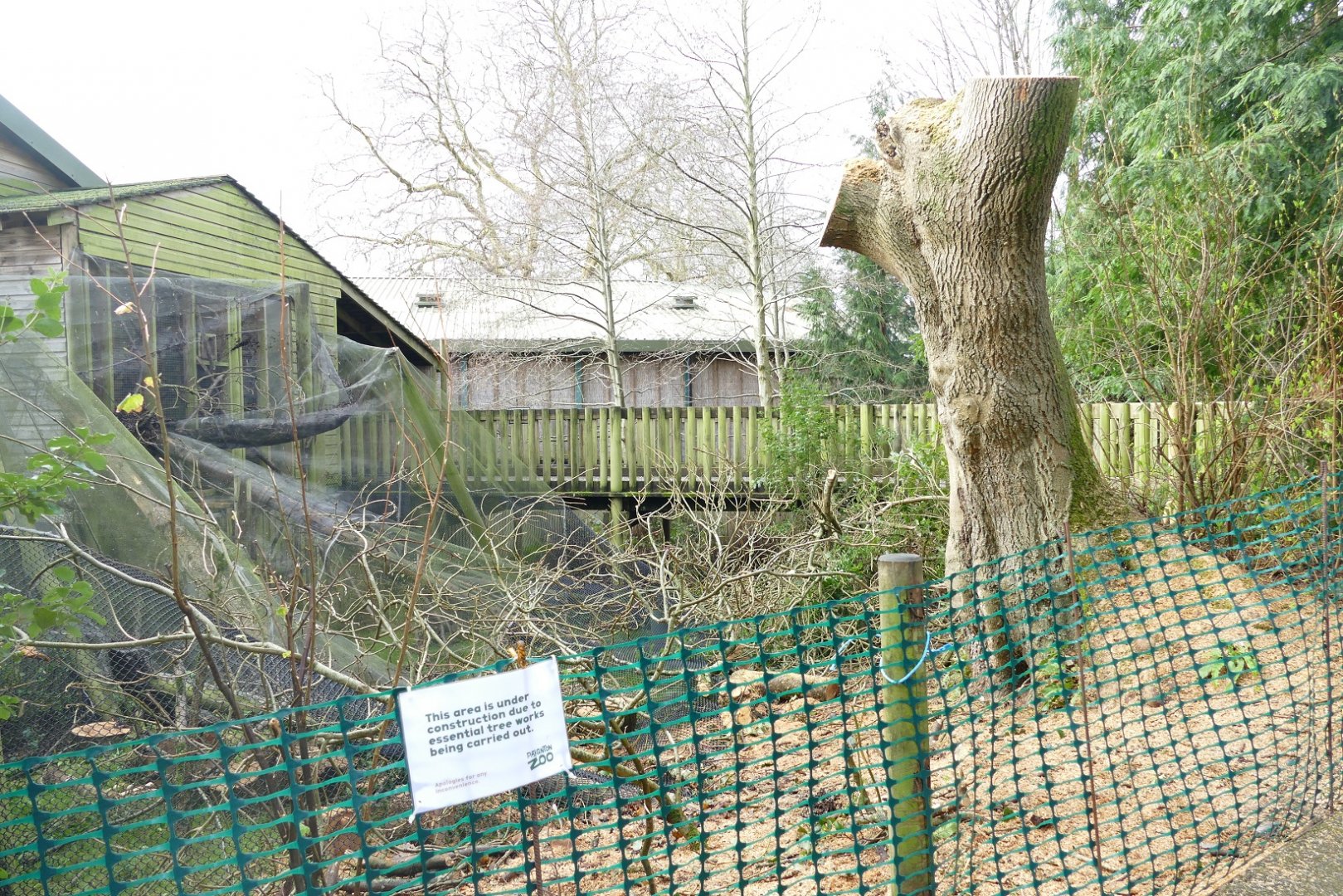 White-faced Saki outdoor enclosure, December 2018