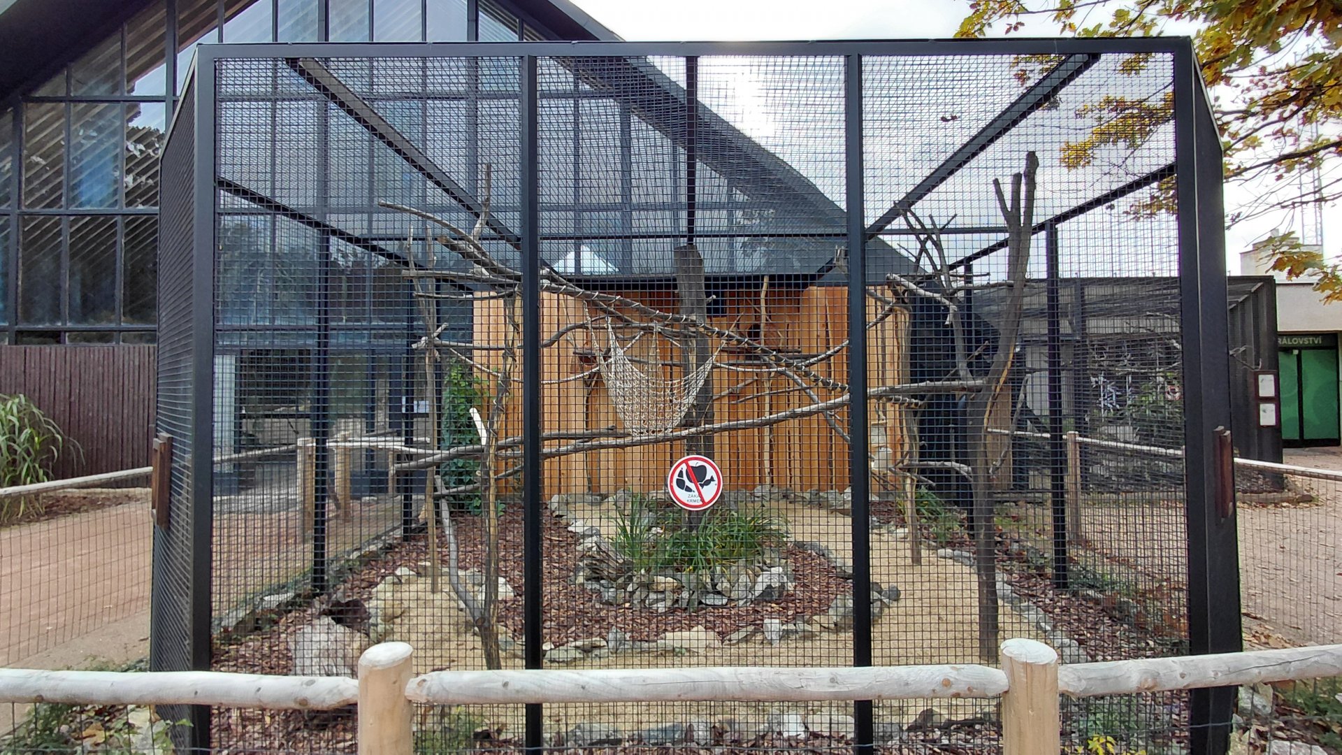 White-faced saki outdoor exhibit