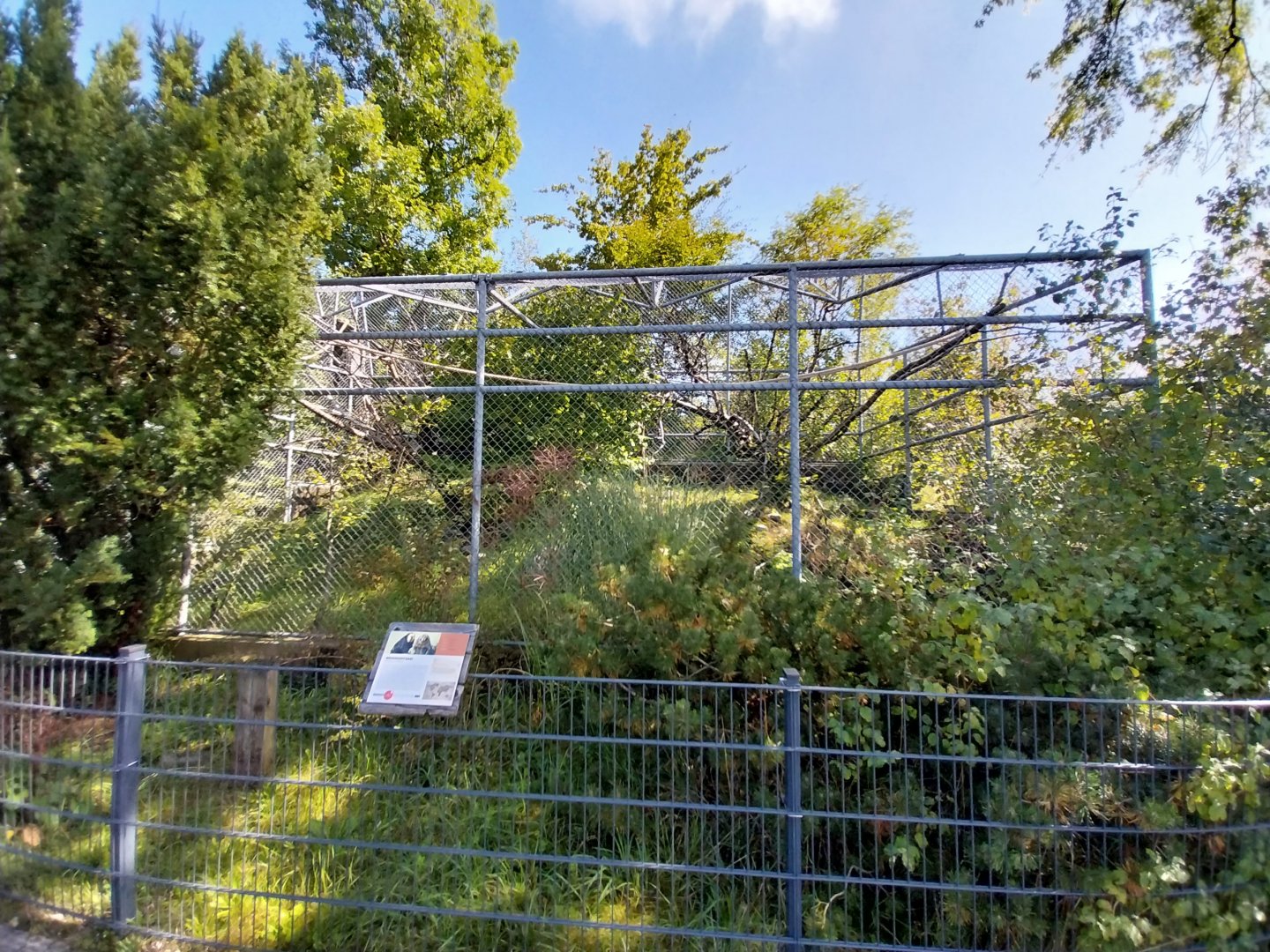 White-faced saki outside enclosure