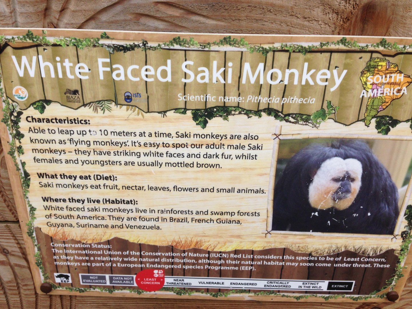 White-Faced Saki sign