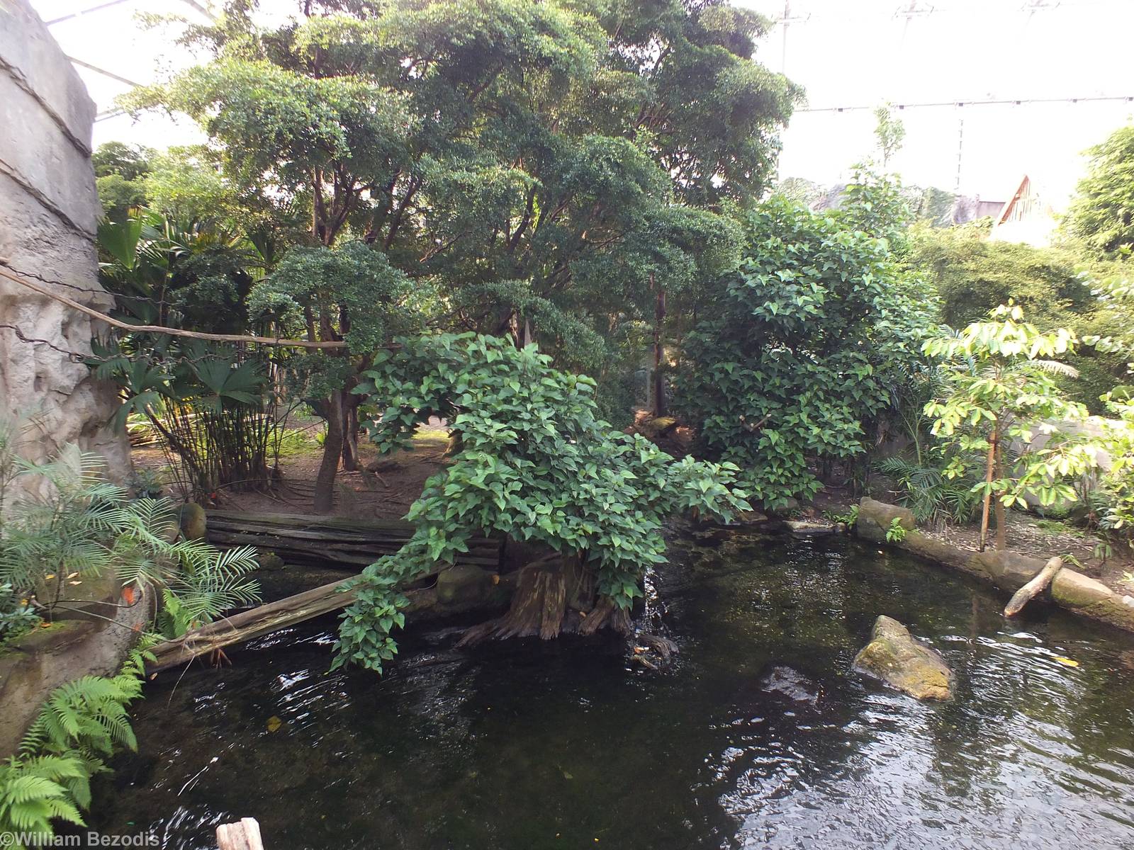 White-faced Saki, Silvery Marmoset and Giant Otter Enclosure in Gondwanalan