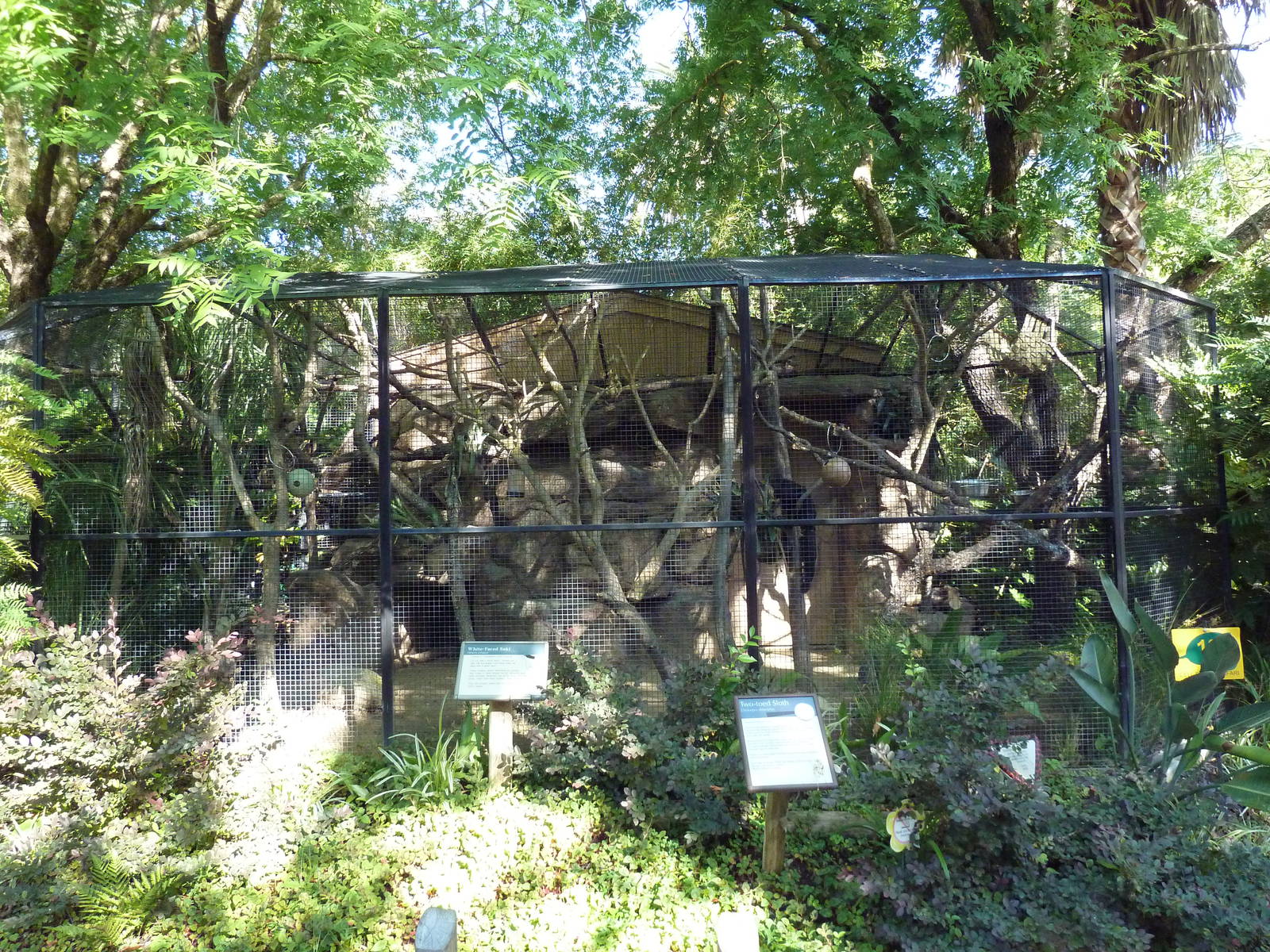 White-Faced Saki/Two-Toed Sloth Exhibit