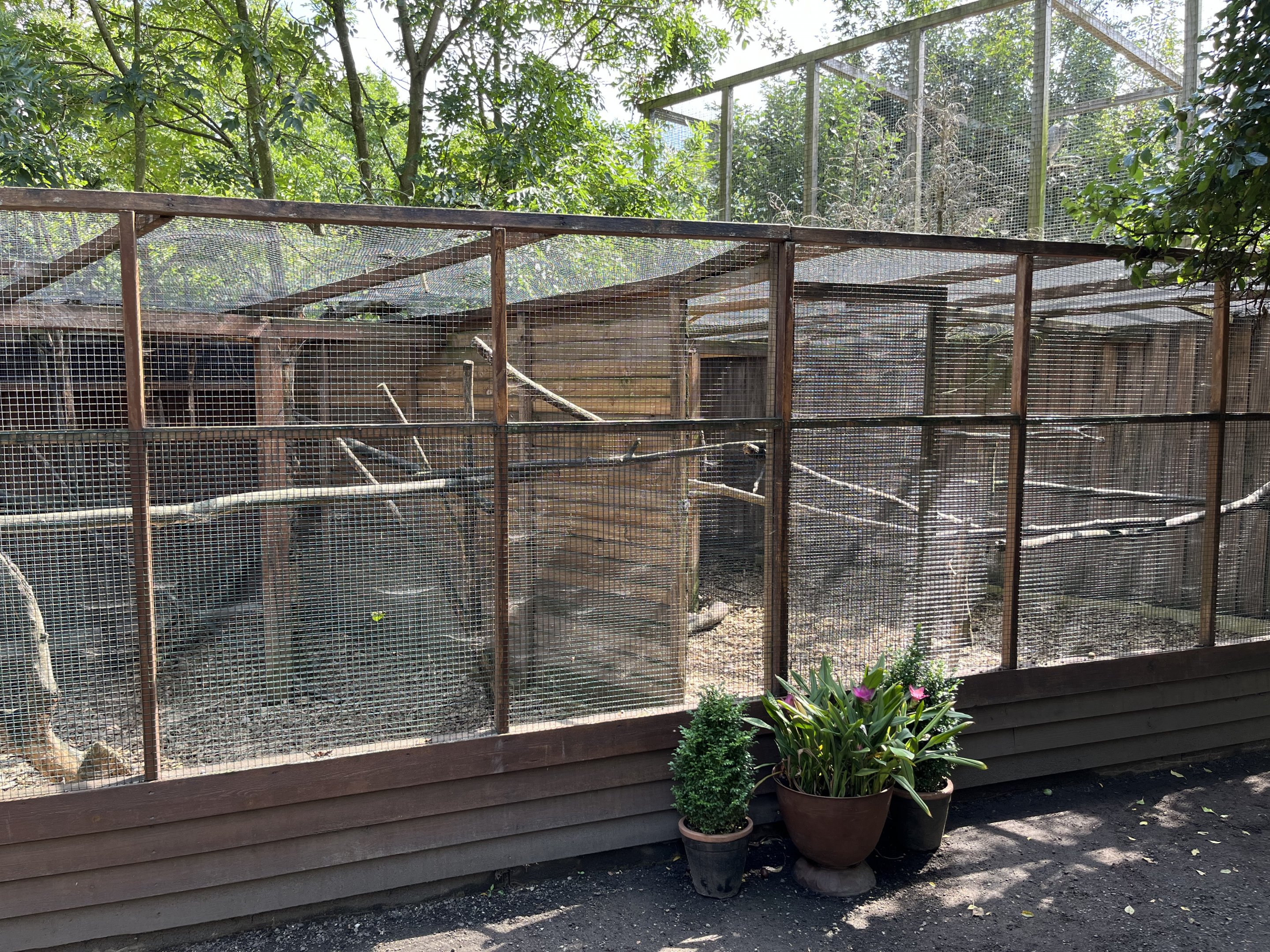 White-faced Saki/White Tufted-ear Marmoset Exhibit