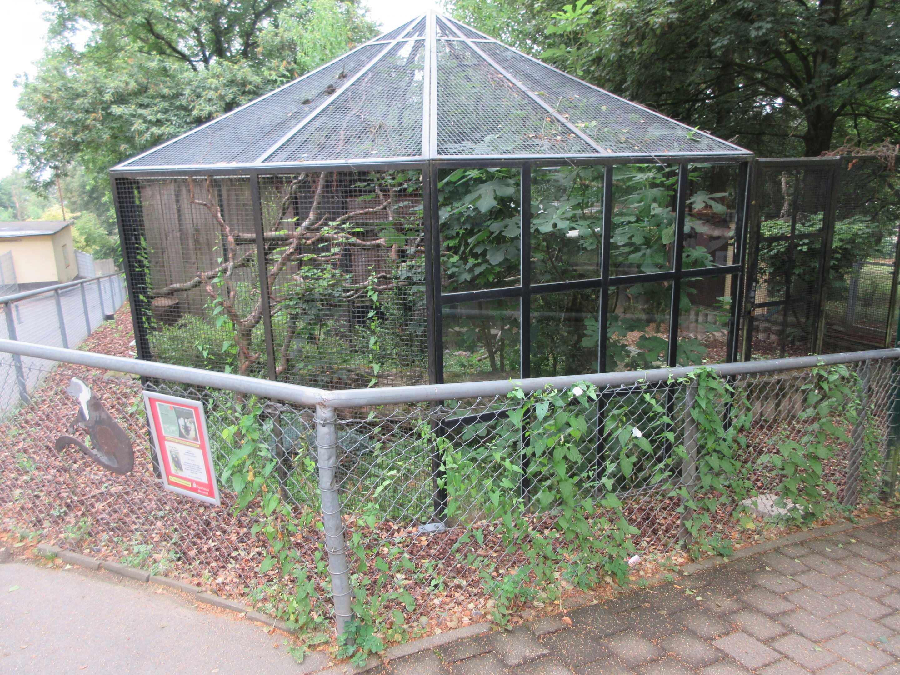 White-fronted Brown Lemur Exhibit