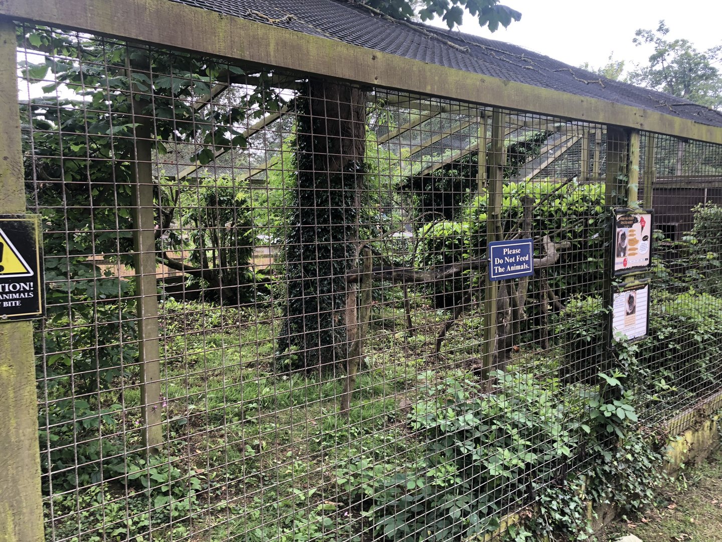 White-fronted Capuchin Enclosure at Sewerby Zoo (June 2023)