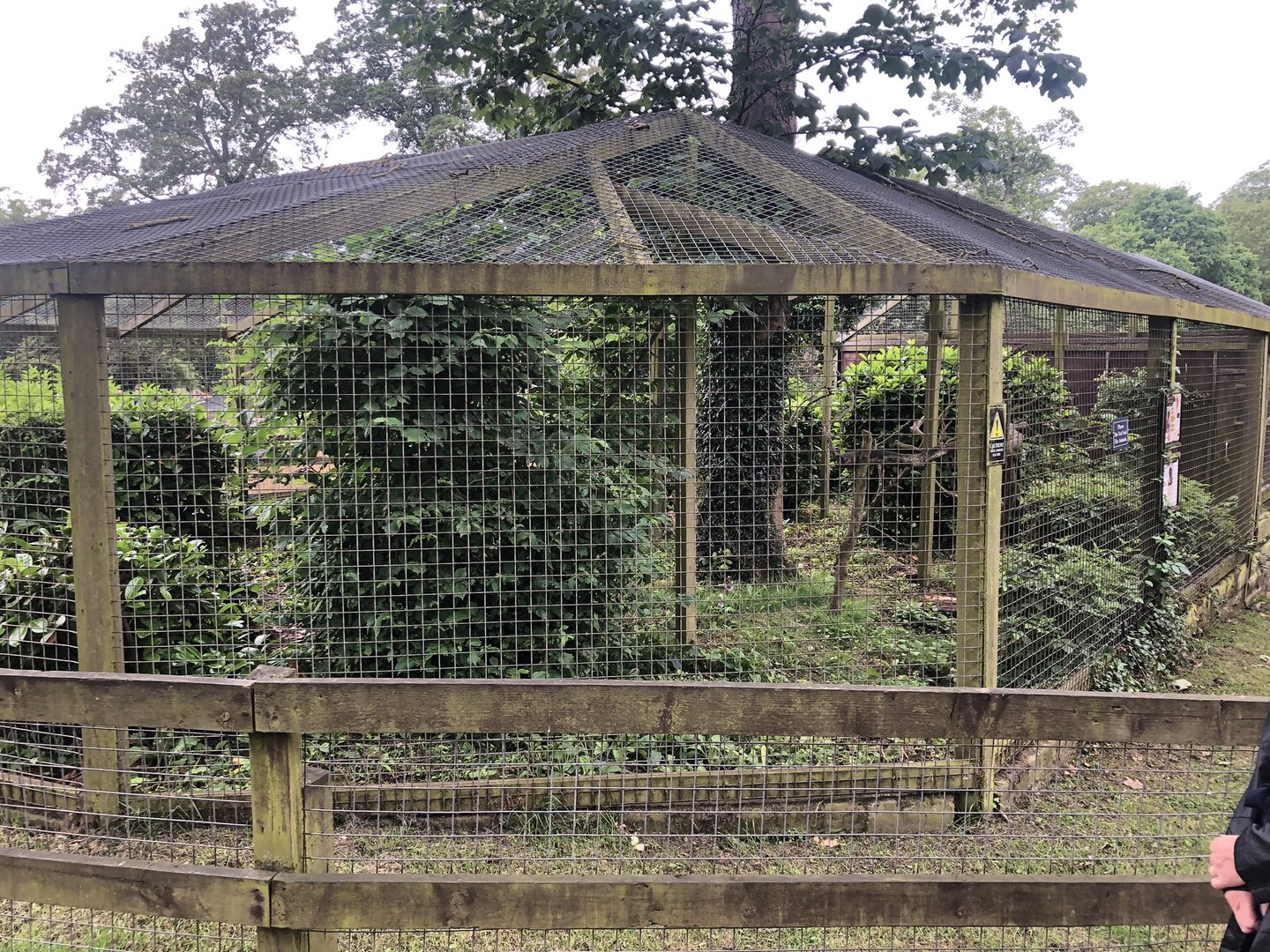 White-fronted Capuchin Enclosure at Sewerby Zoo (June 2023)