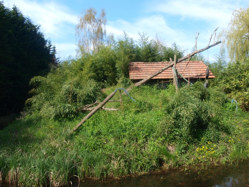 White-fronted lemur island (April 19th, 2015)