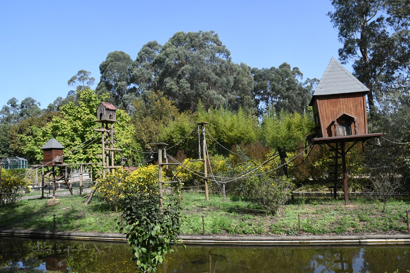 White-fronted Lemurs Island