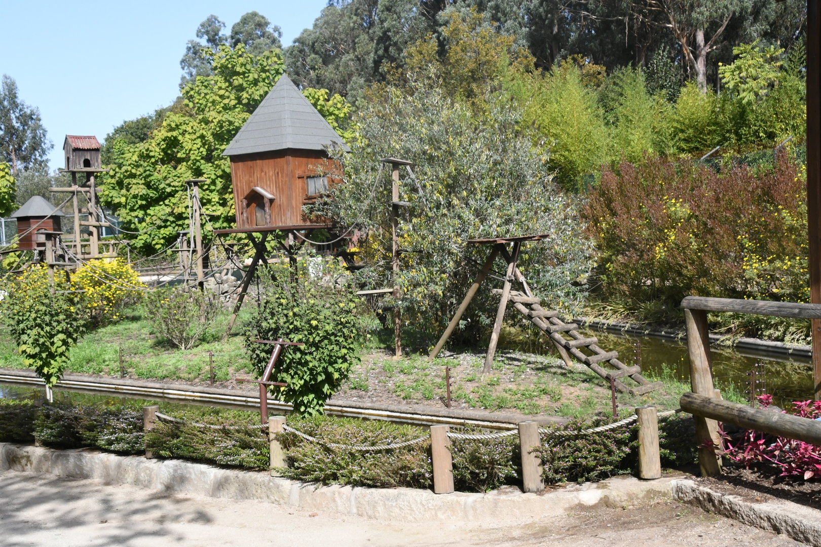 White-fronted Lemurs Island