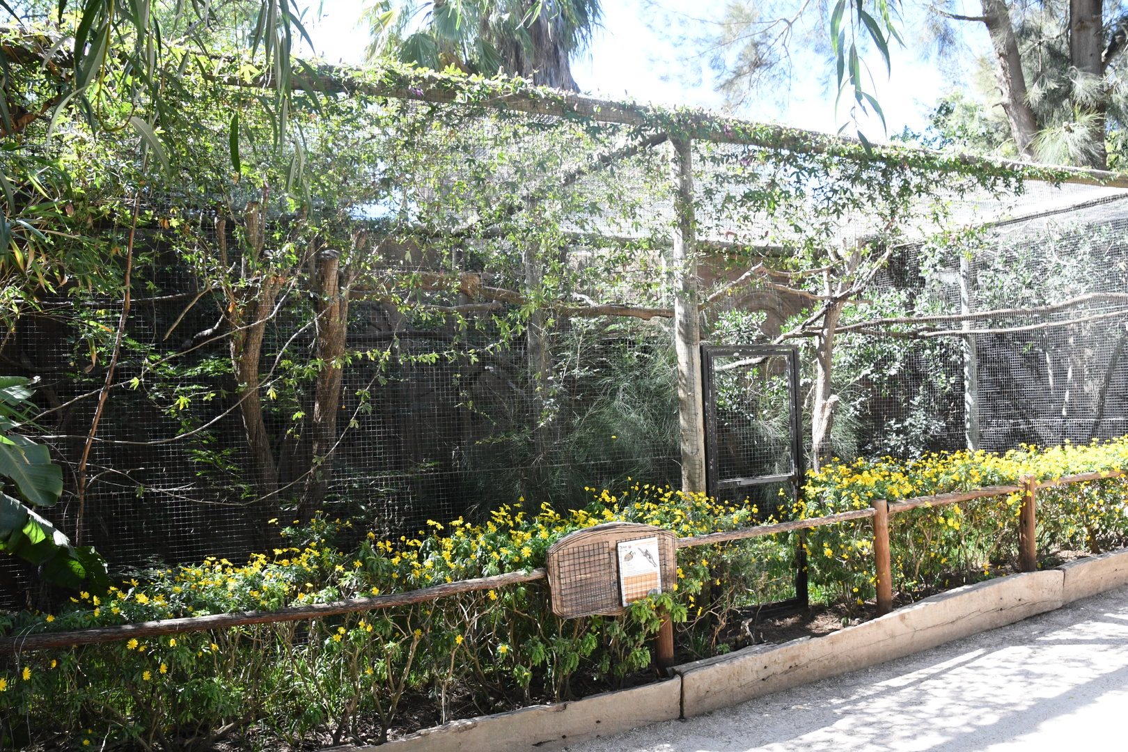 White-fronted Marmosets Exhibit