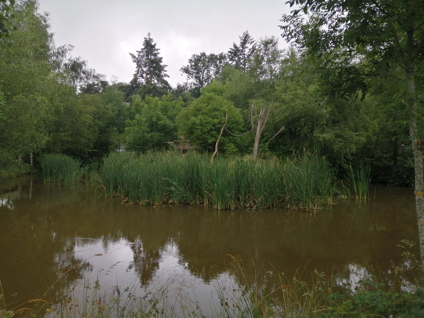 White handed gibbon and Asian otter exhibit