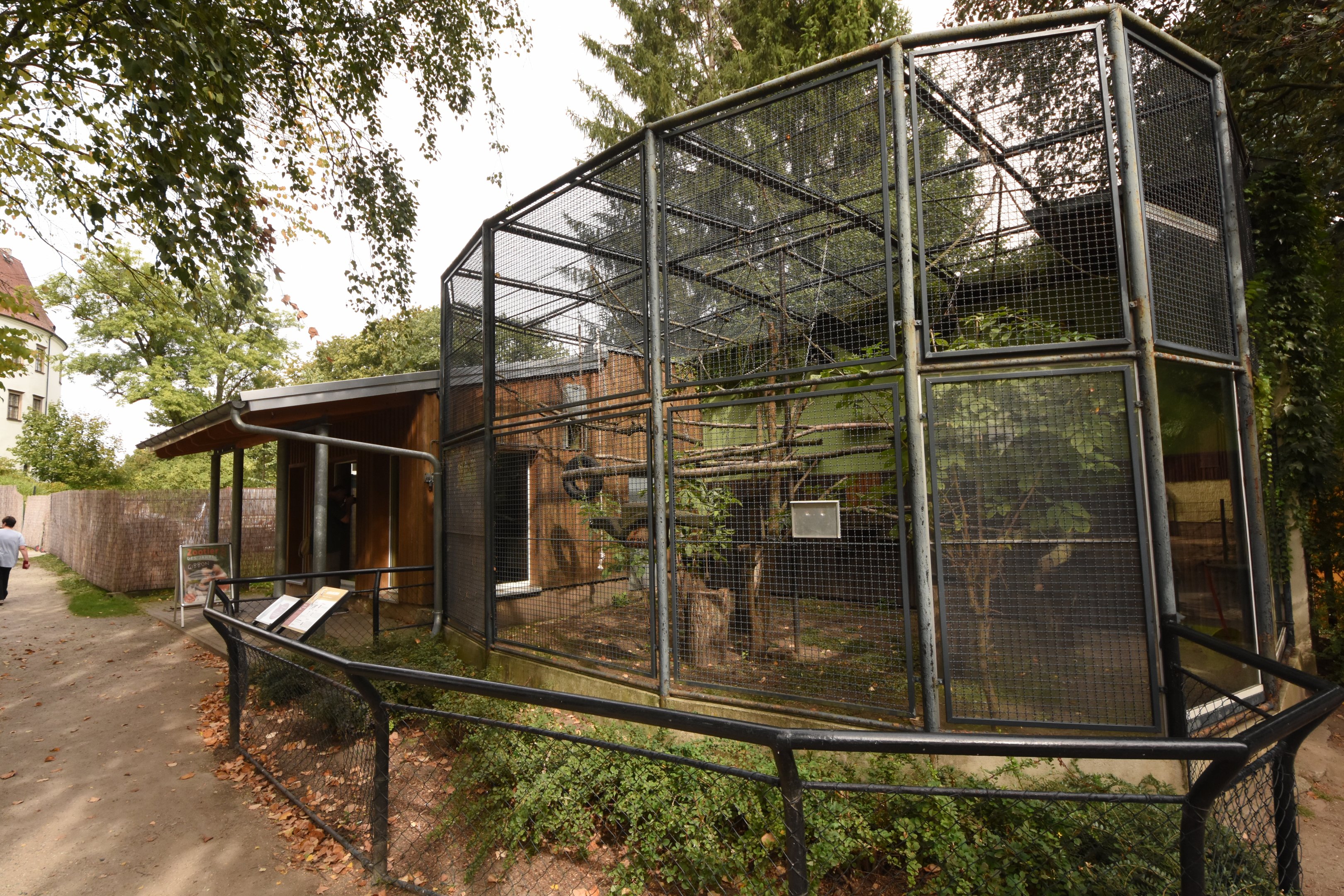 White-handed gibbon cage