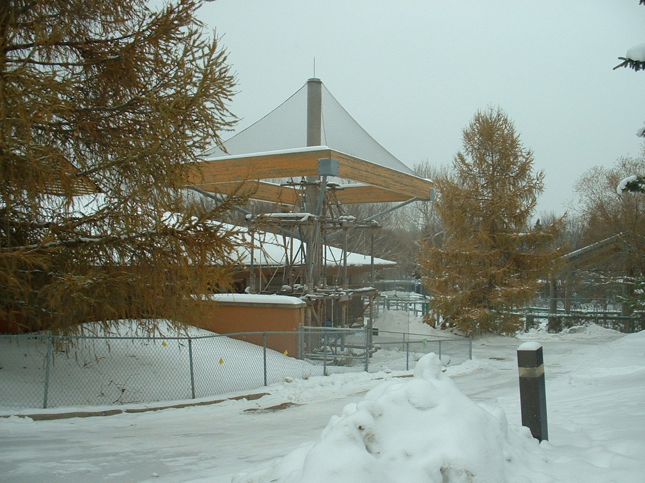 White-handed Gibbon Enclosure - Nov 2012