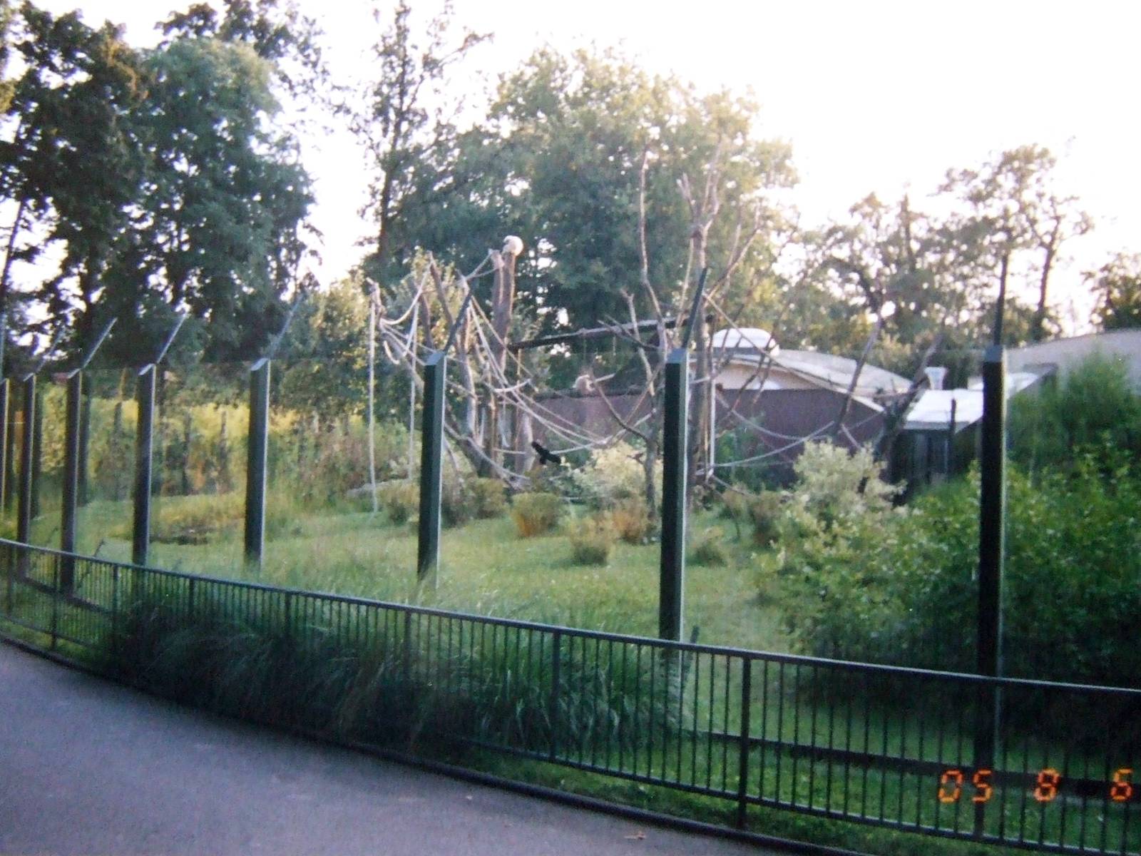 White-handed gibbon enclosure @ Zagreb Zoo, Croatia