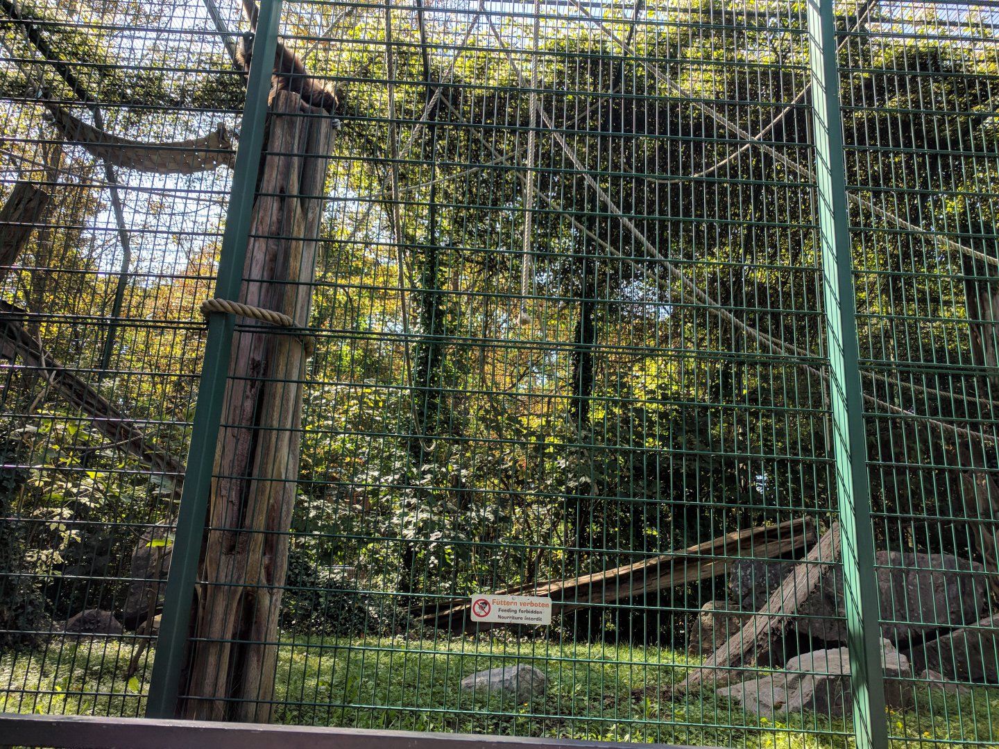 White handed Gibbon Enclosure