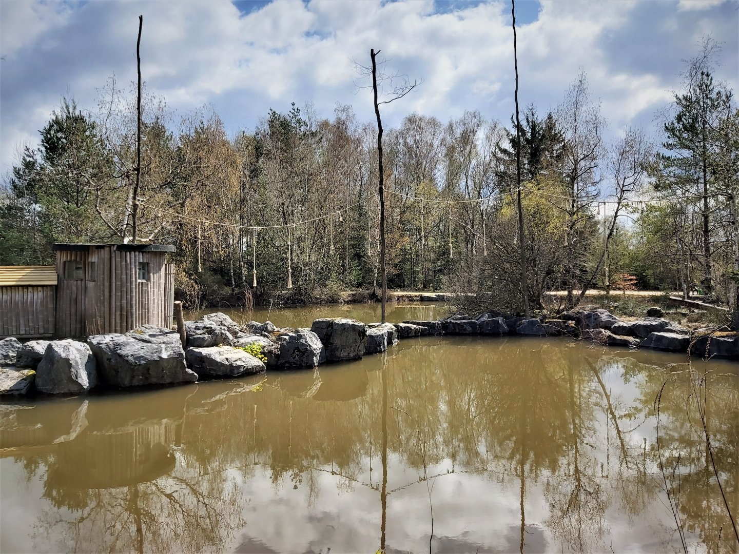 White-handed gibbon enclosure