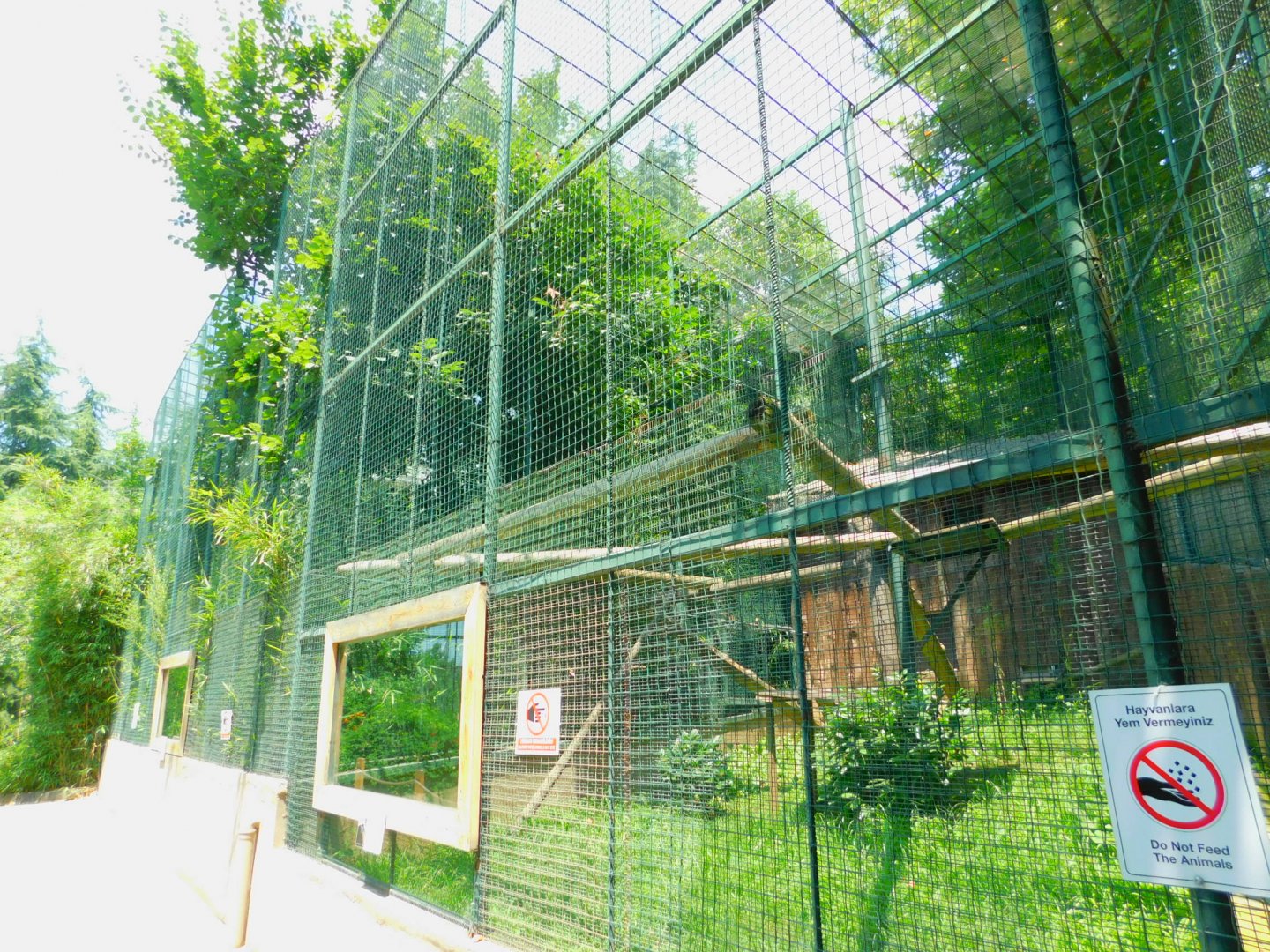 White-handed gibbon enclosure