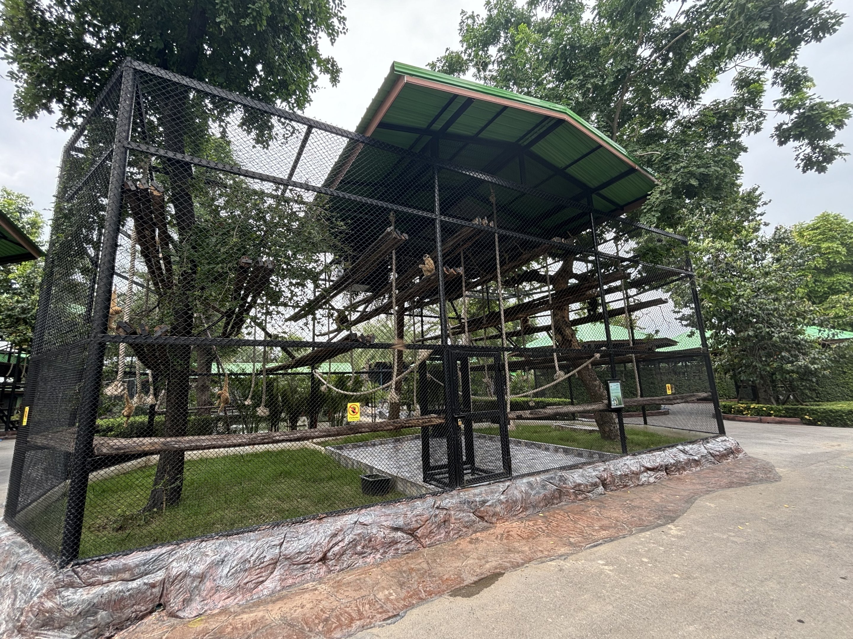 White-handed Gibbon Exhibit #2 - Lion Park