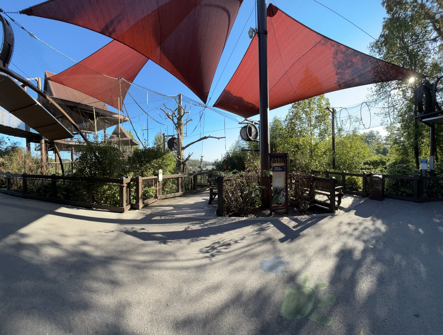 White-handed Gibbon Exhibit - Asian Trek