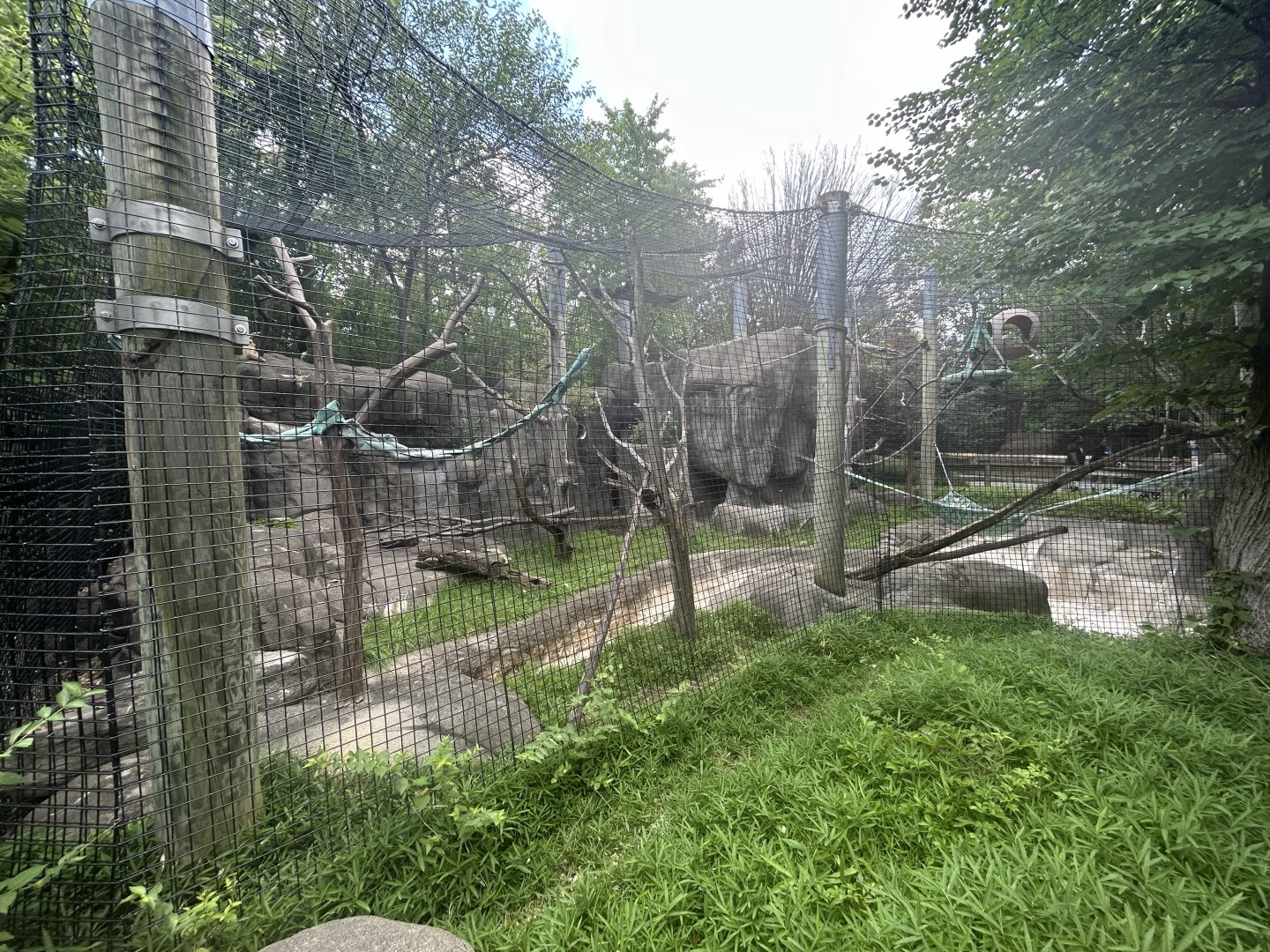 White-handed Gibbon Exhibit - Forests
