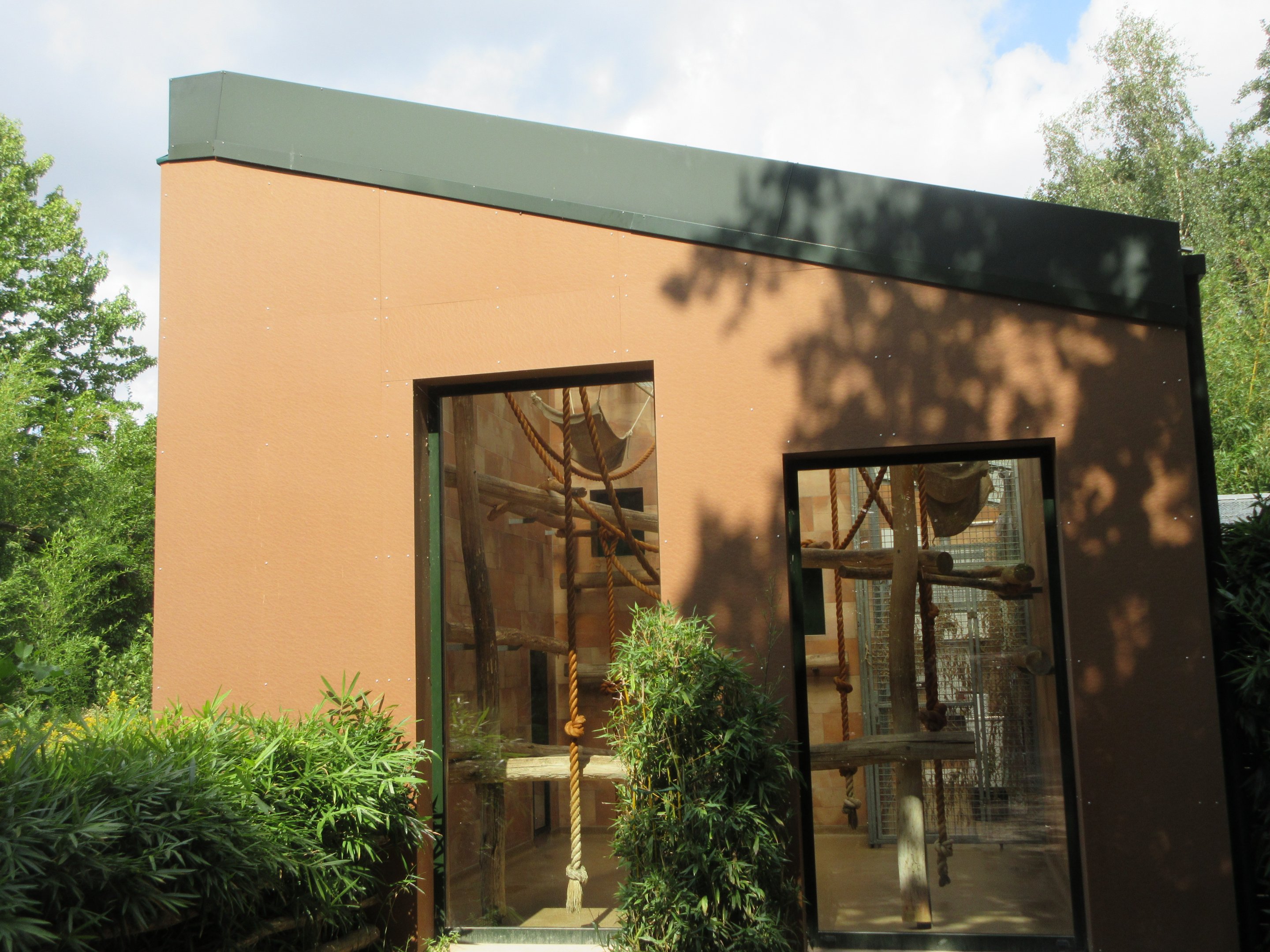 White-handed Gibbon Exhibit - indoor holding