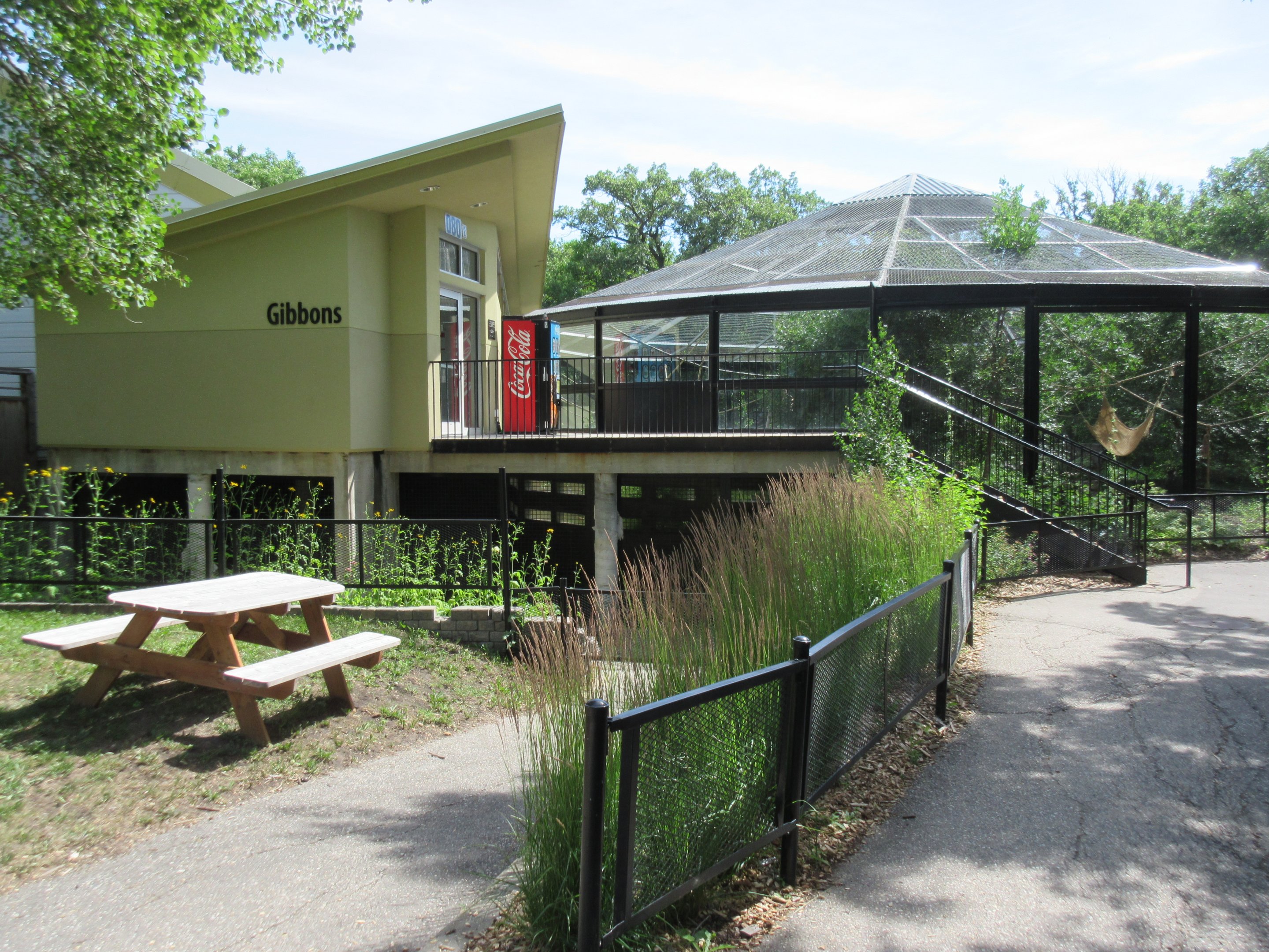 White-handed Gibbon Exhibit - New in 2017
