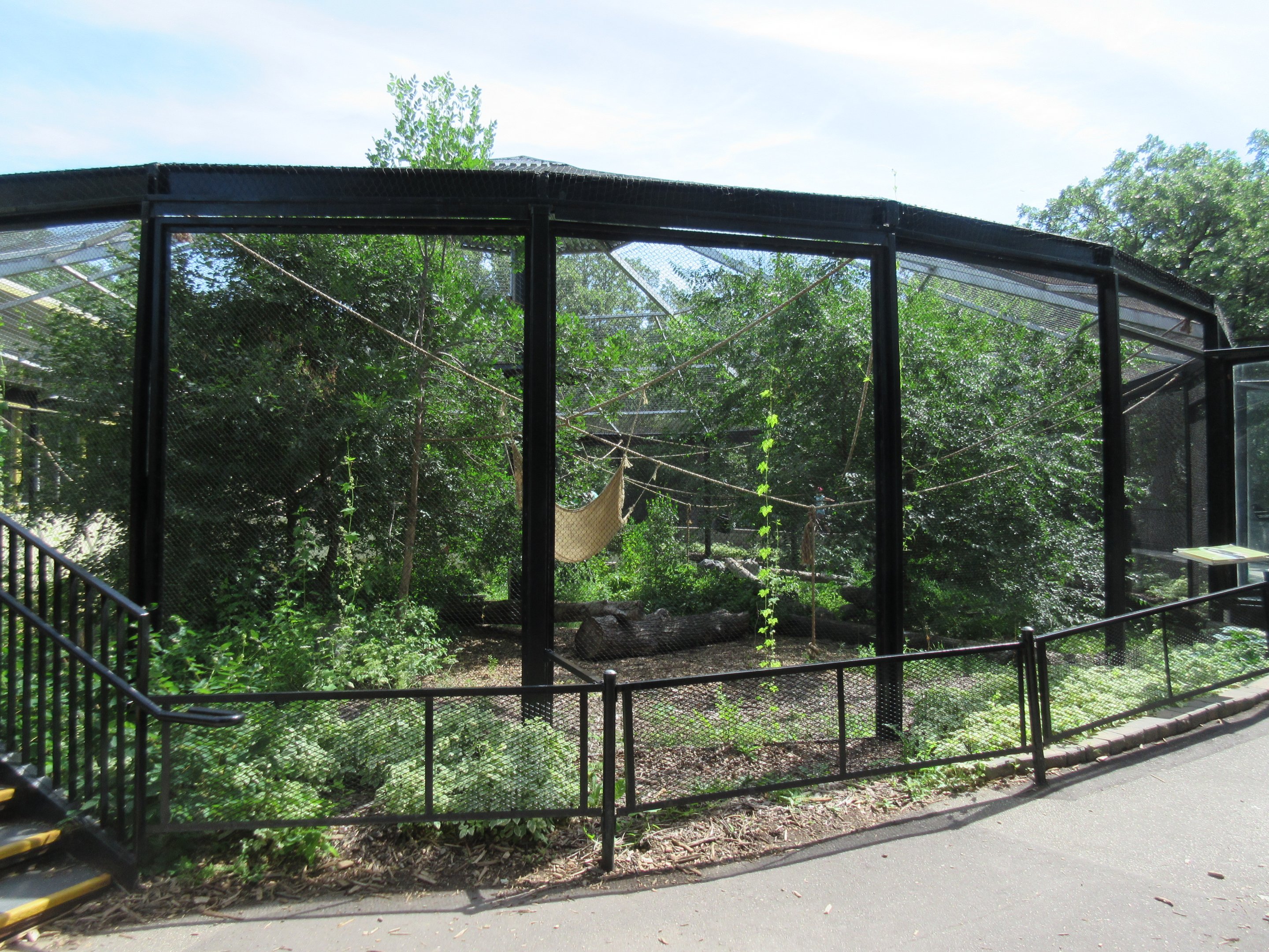 White-handed Gibbon Exhibit - New in 2017