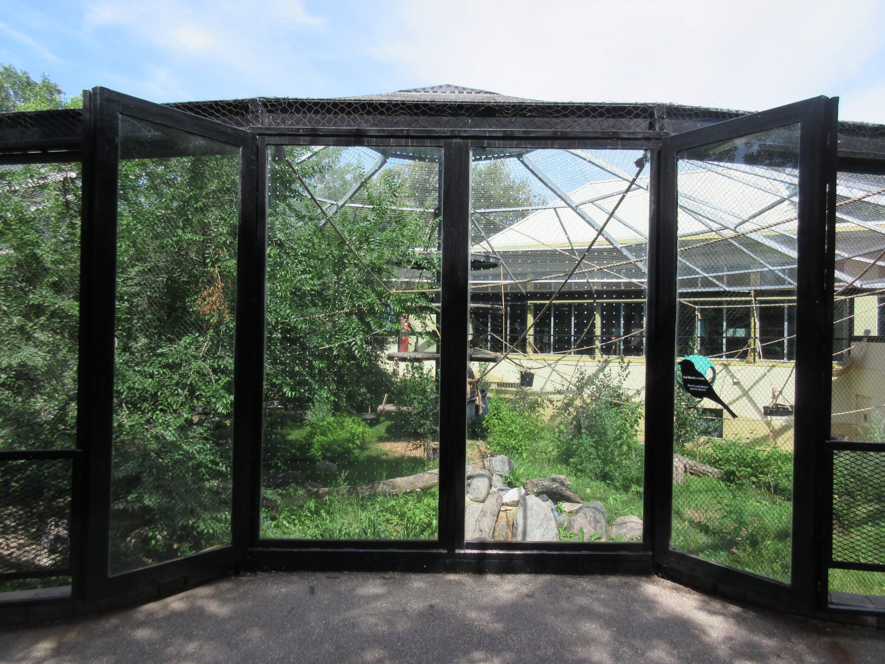 White-handed Gibbon Exhibit - New in 2017