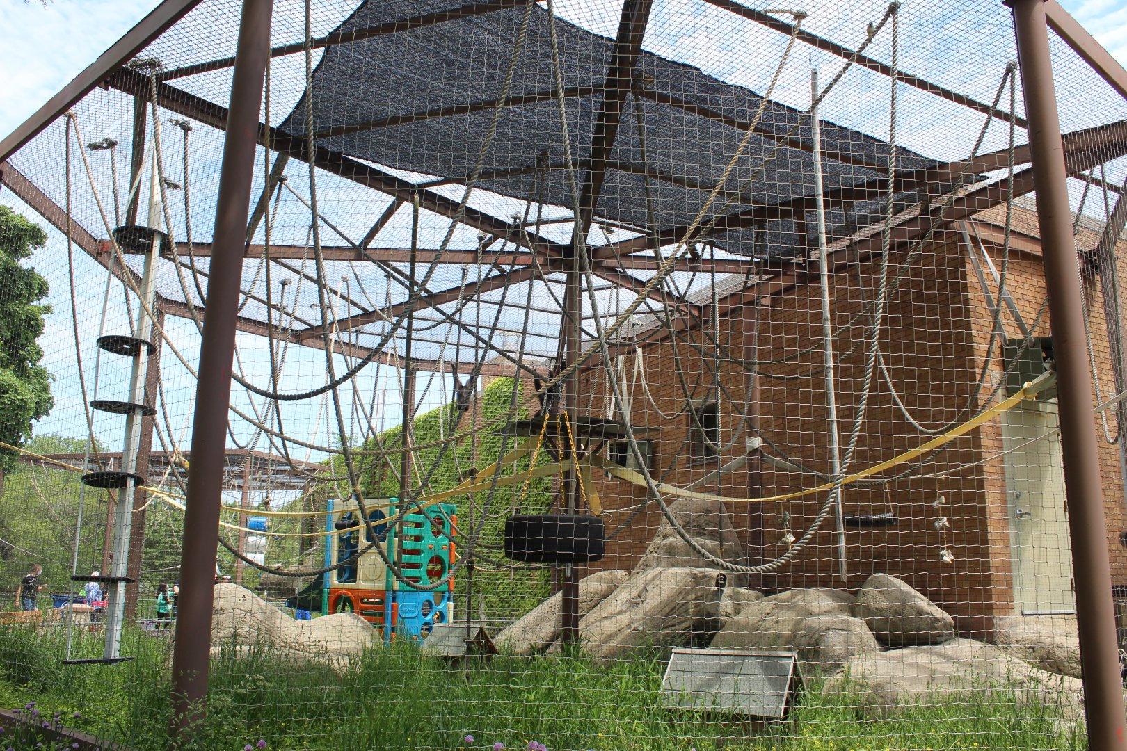 White-Handed Gibbon Exhibit - Vanishing Kingdom