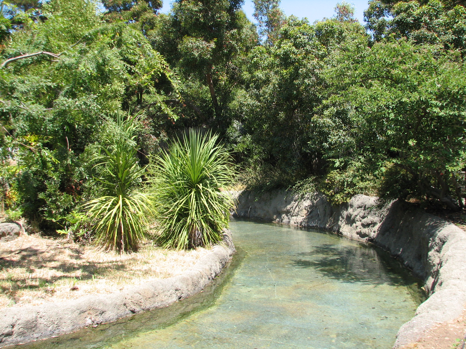 White-handed Gibbon Exhibit - Water Moat