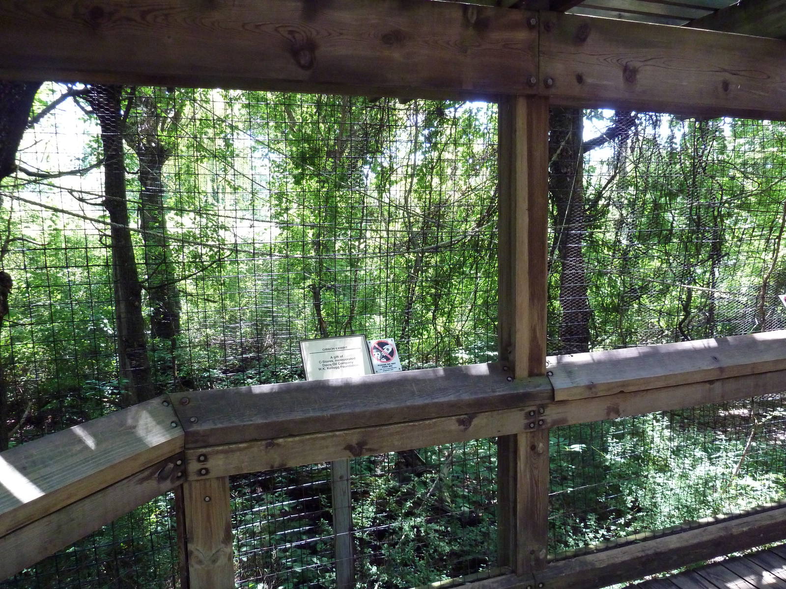 White-Handed Gibbon Exhibit