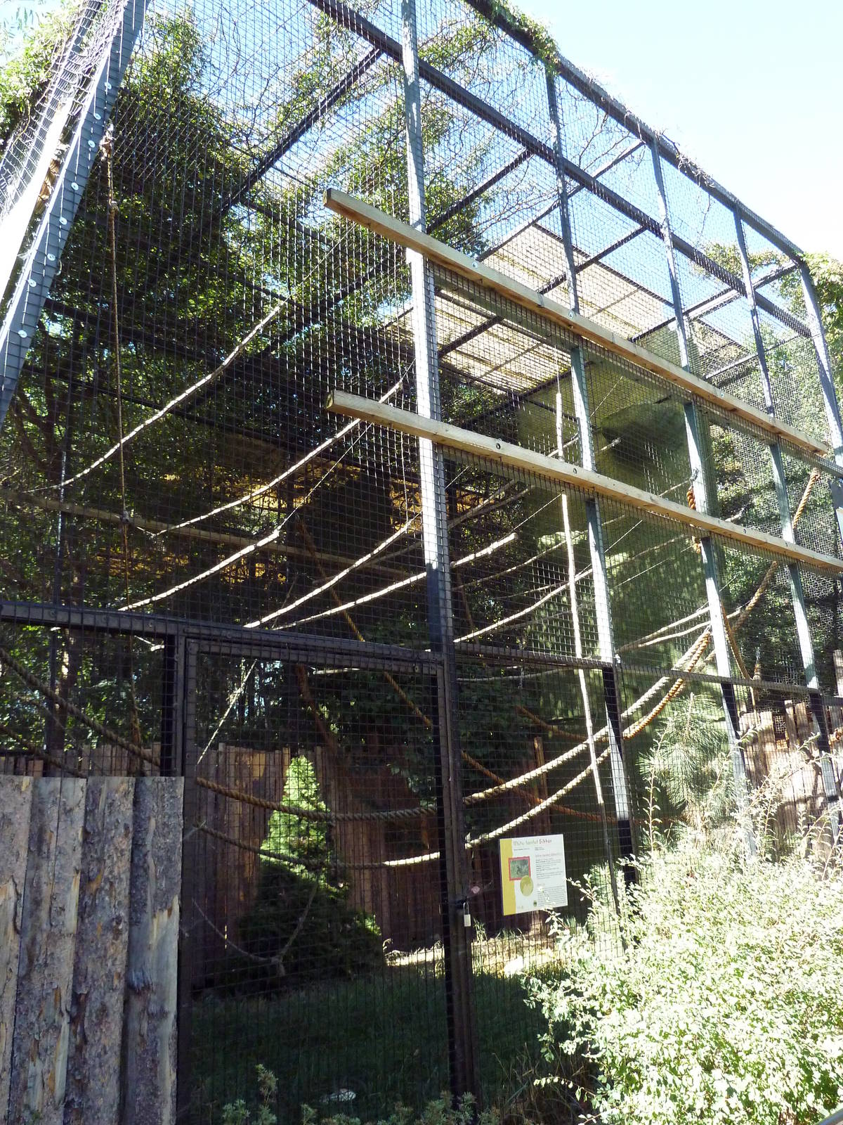 White-Handed Gibbon Exhibit
