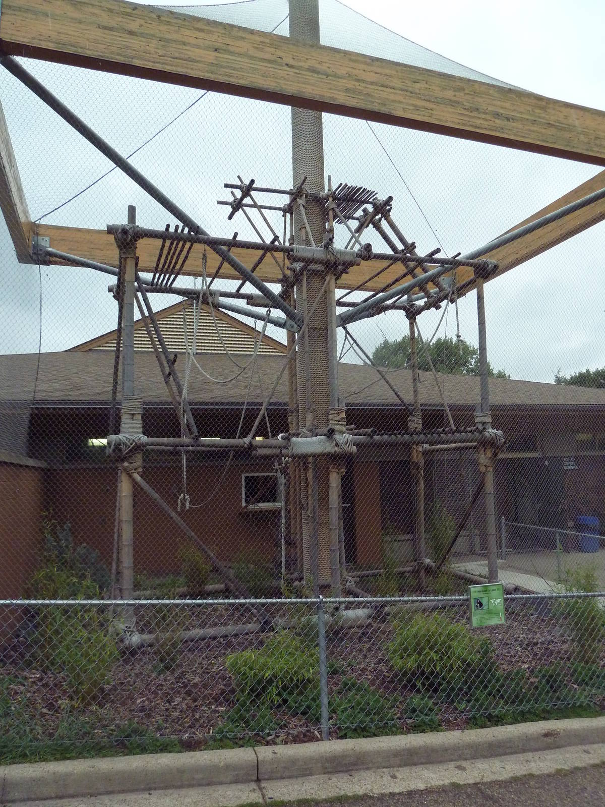 White-Handed Gibbon Exhibit