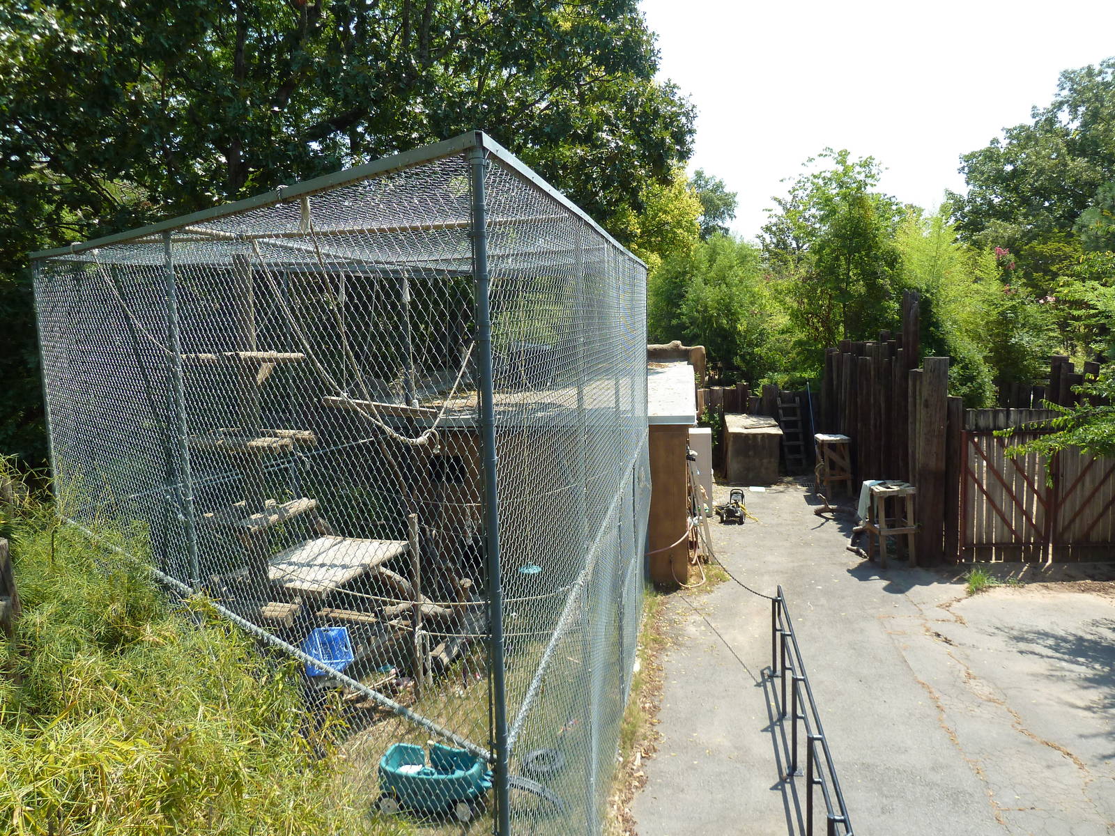 White-Handed Gibbon Exhibit