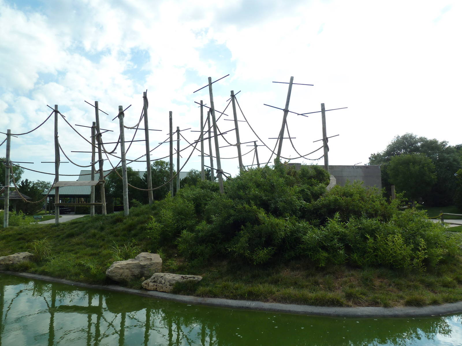 White-Handed Gibbon Exhibit