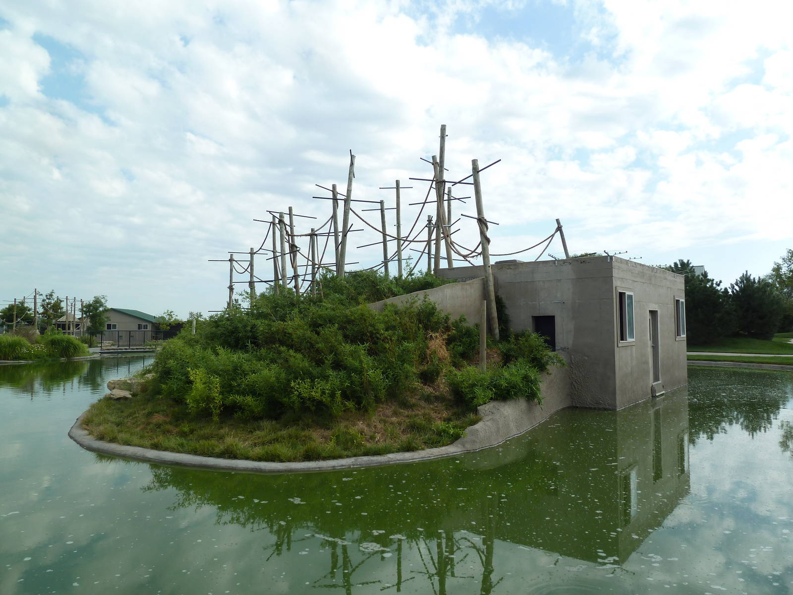 White-Handed Gibbon Exhibit