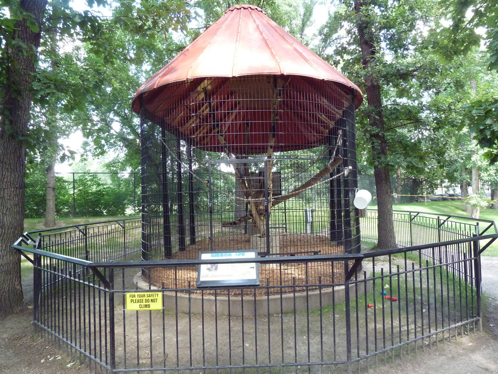 White-Handed Gibbon Exhibit