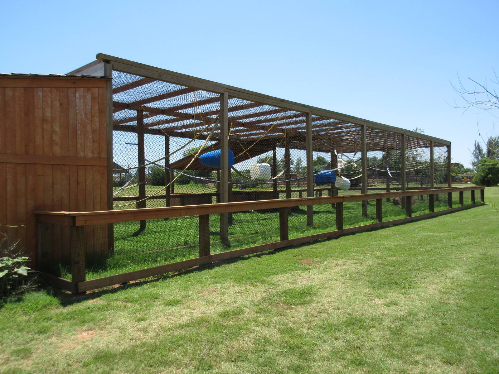 White-Handed Gibbon Exhibit