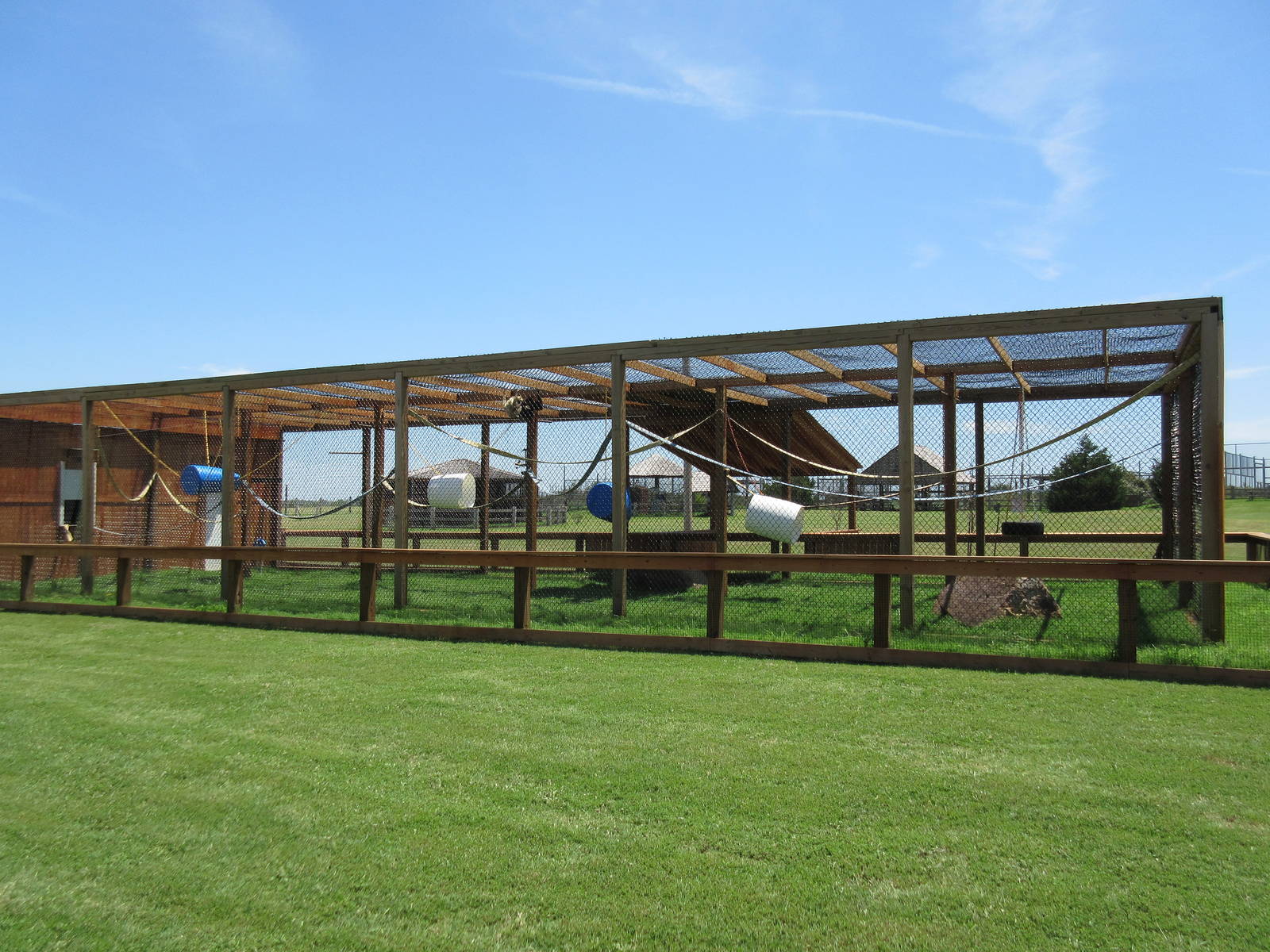 White-Handed Gibbon Exhibit