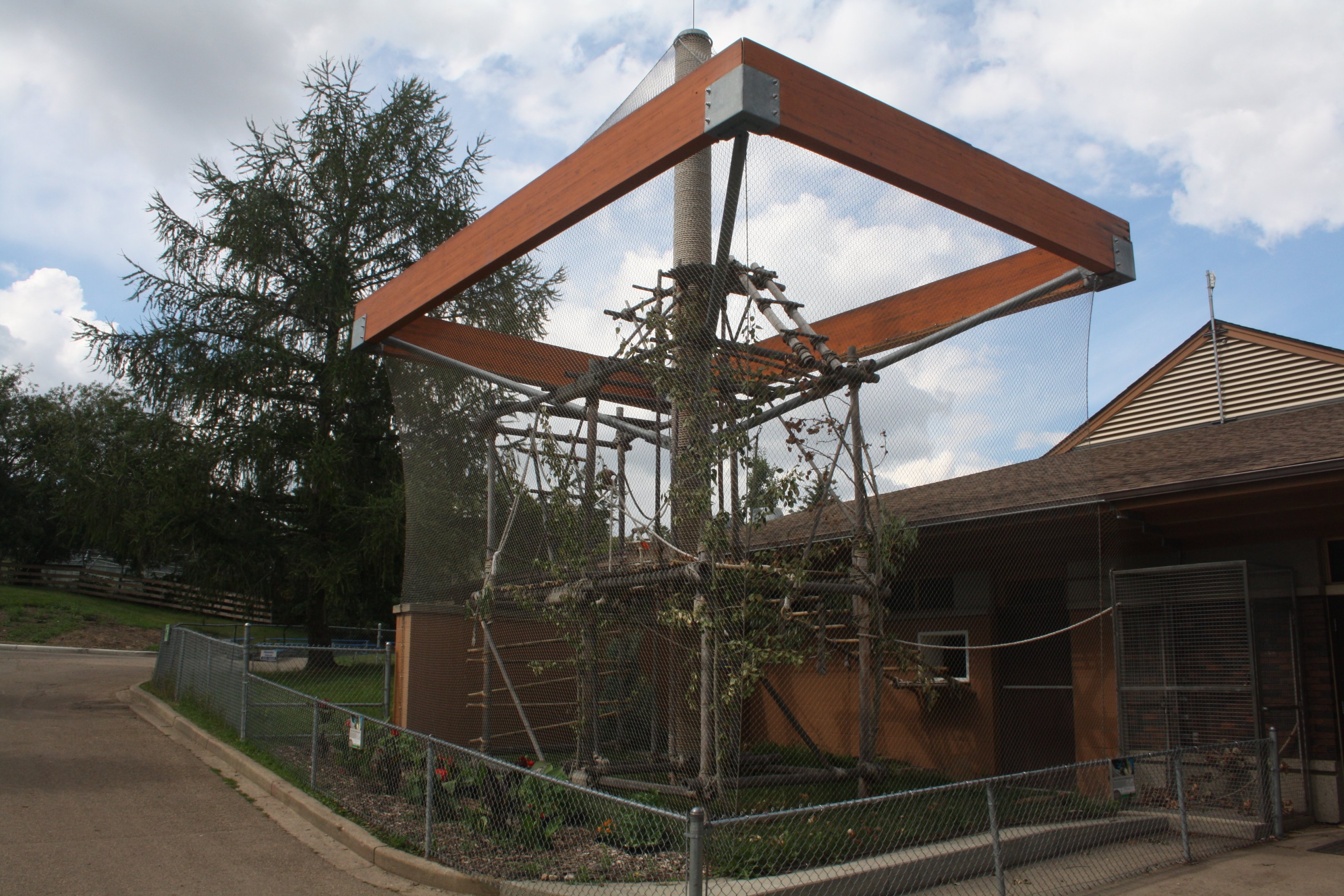 White-Handed Gibbon Exhibit