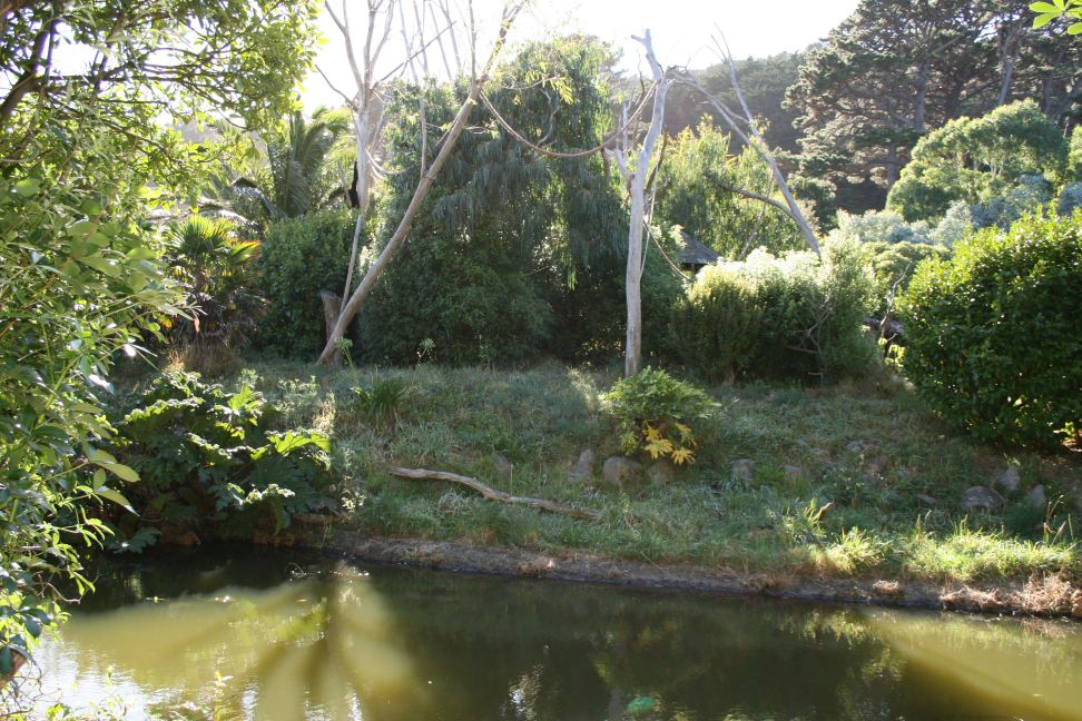 White-handed Gibbon exhibit