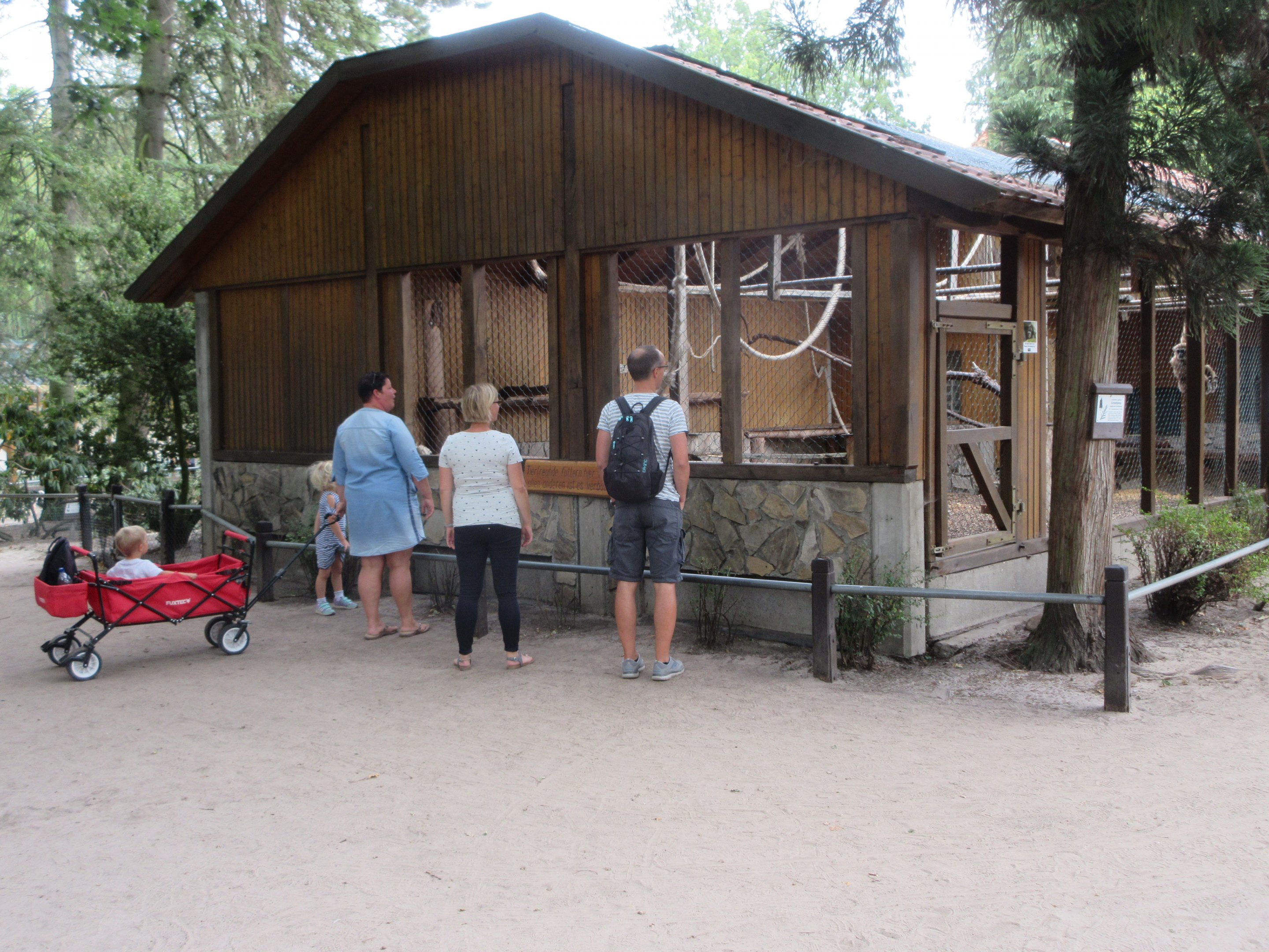 White-handed Gibbon Exhibit