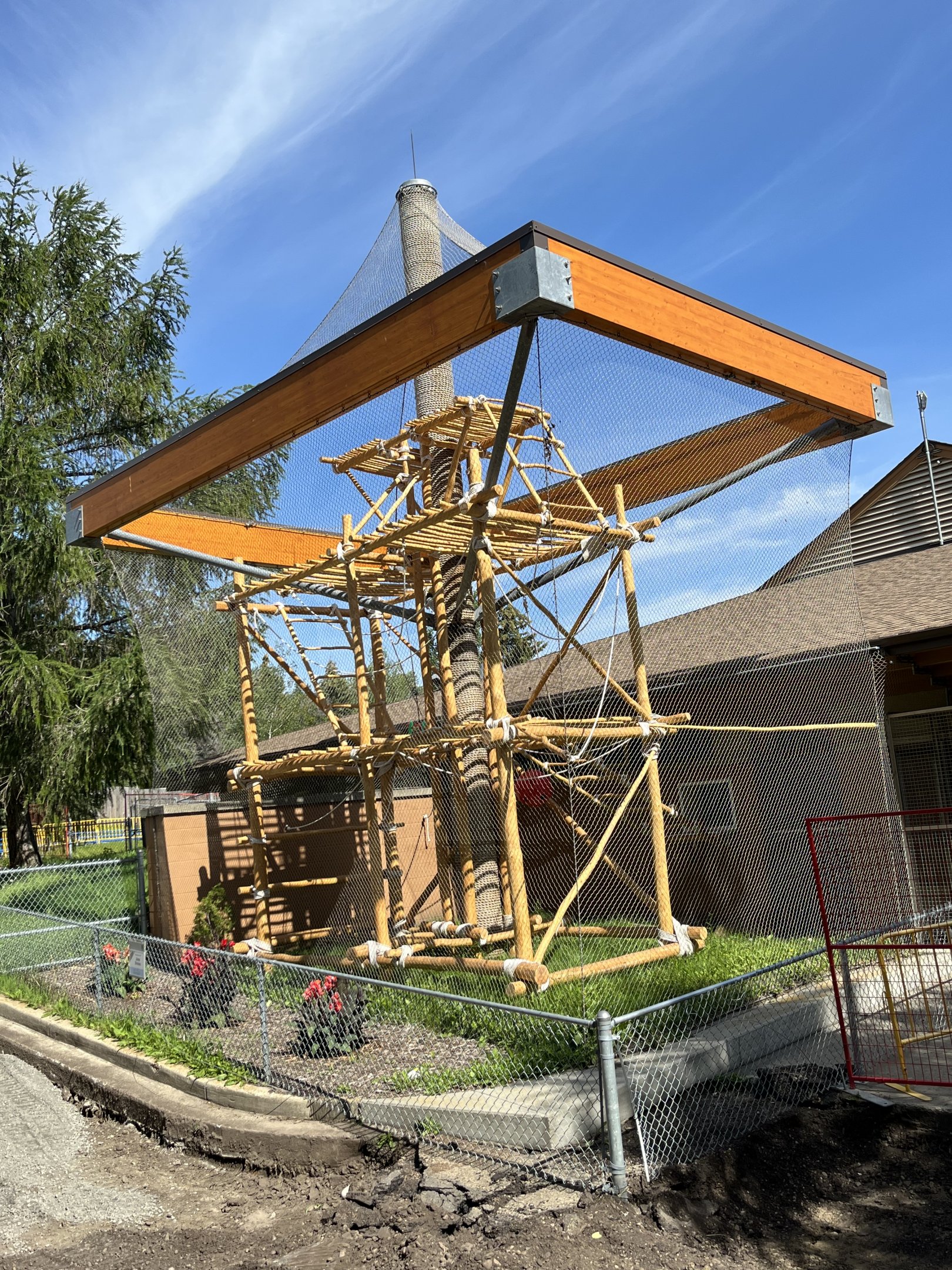 White-handed Gibbon Exhibit