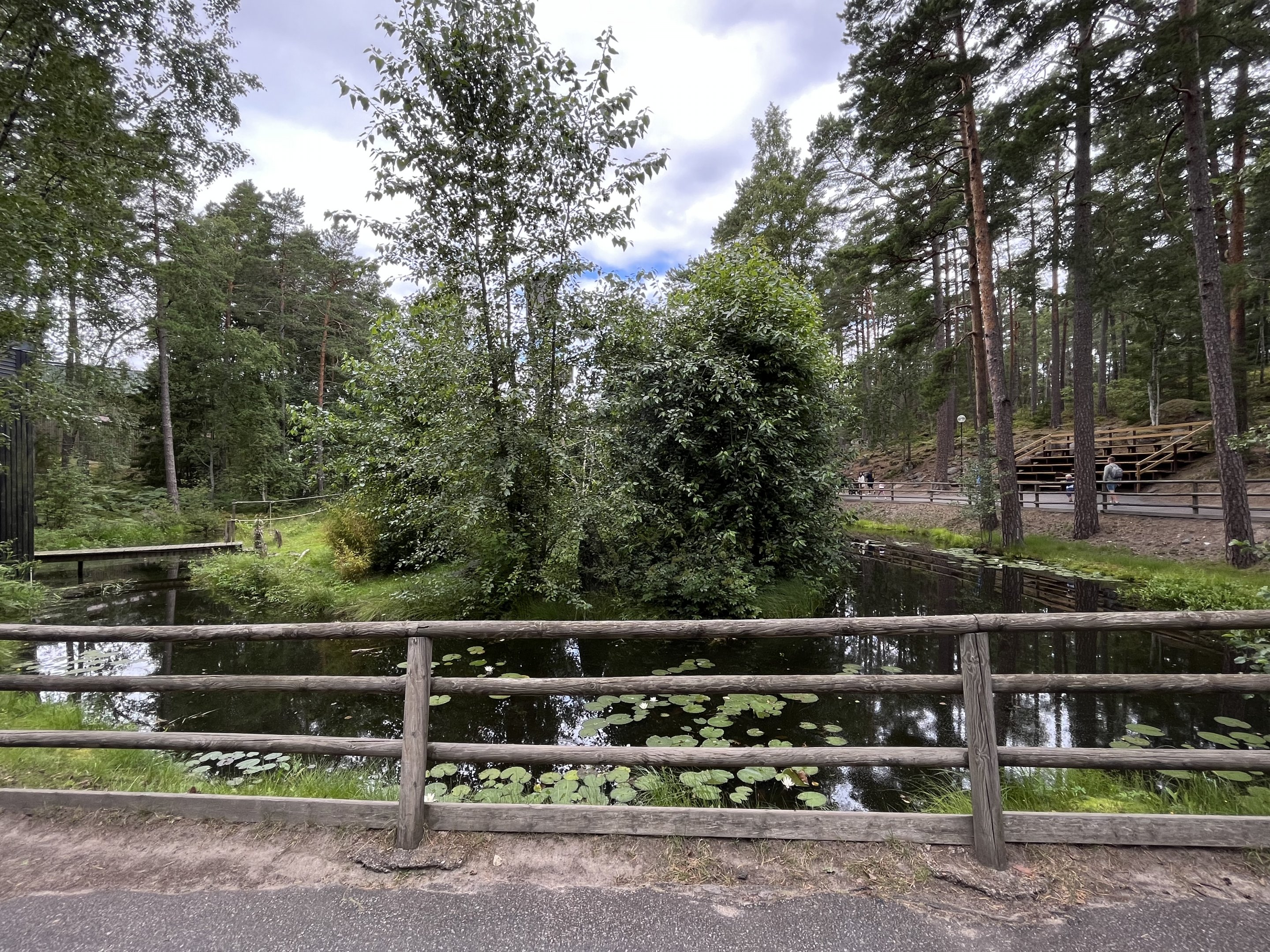 White-handed Gibbon Exhibit